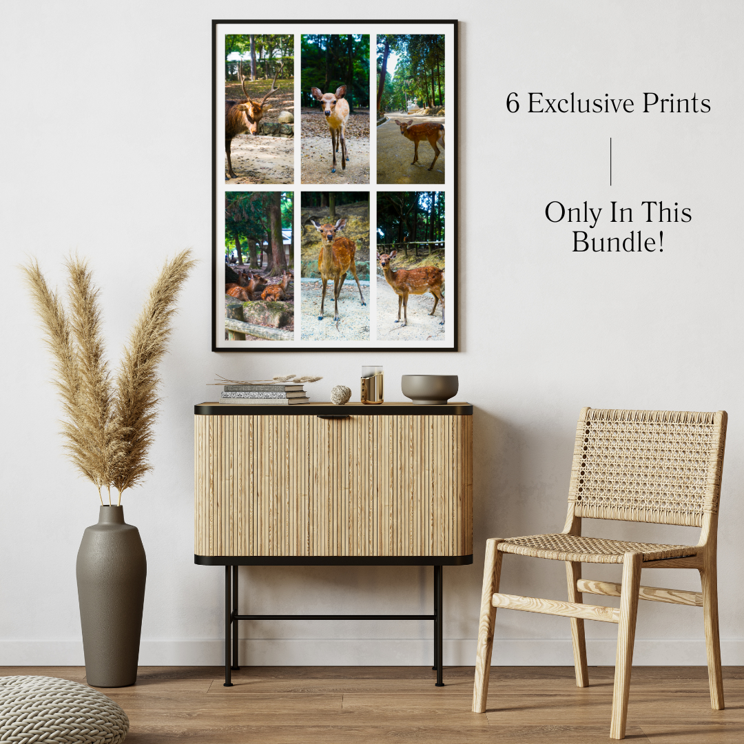 Print Bundles