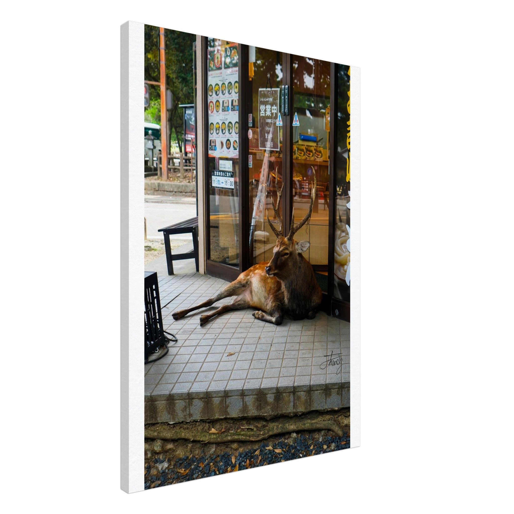 00cfda8a-9d8c-4f55-b3e8-d66e7cd861a5