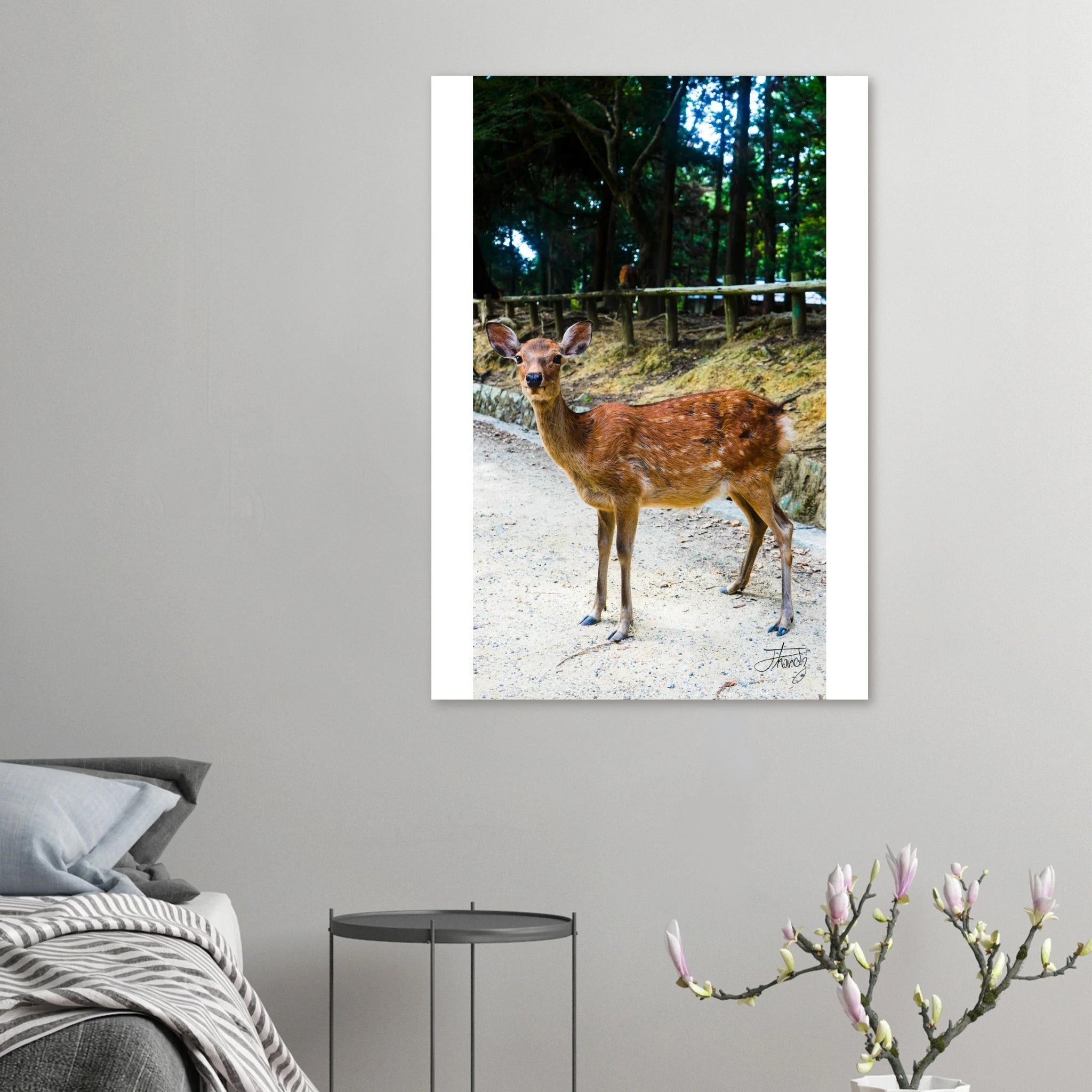 01a965d2-da80-4604-8769-1b5b53c5ebd1