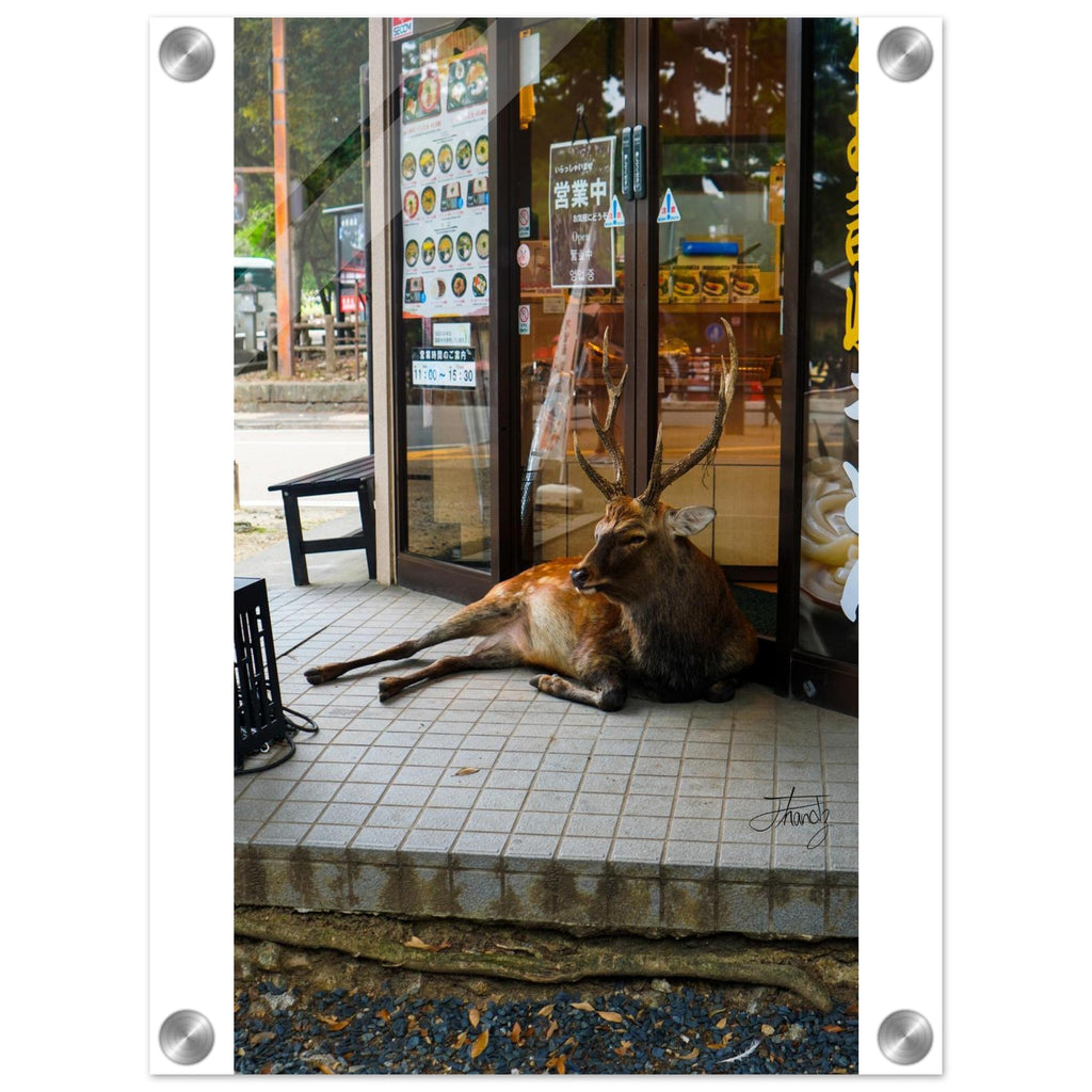 02b171d7-8b40-4f31-af1f-dcbd01d4d21d