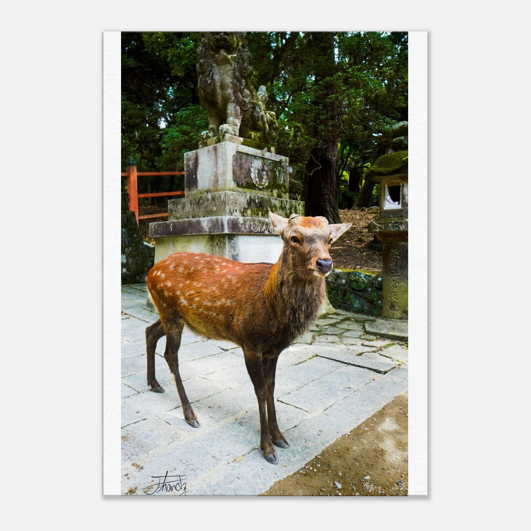 03777a14-0d76-4acf-afe7-e1435736554c