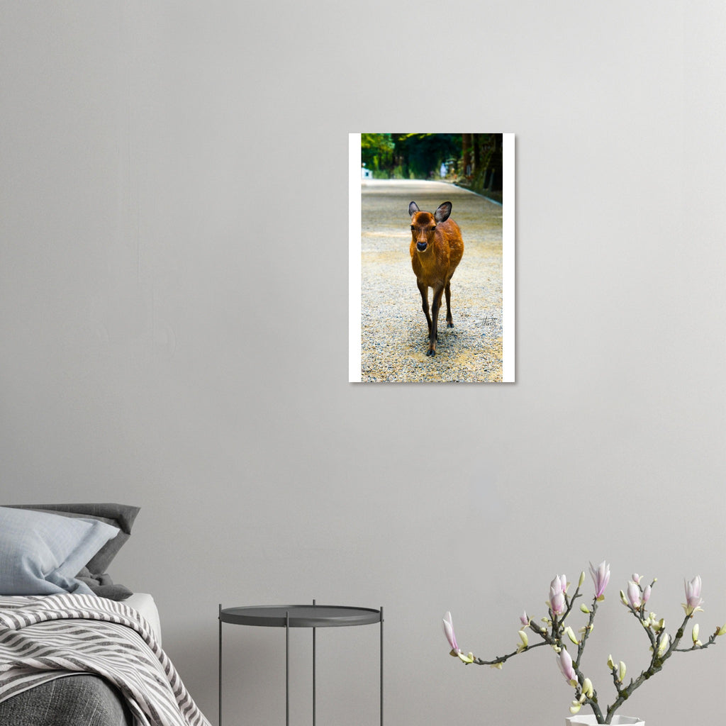 044da569-2ece-4534-8e72-f67402cc2b65