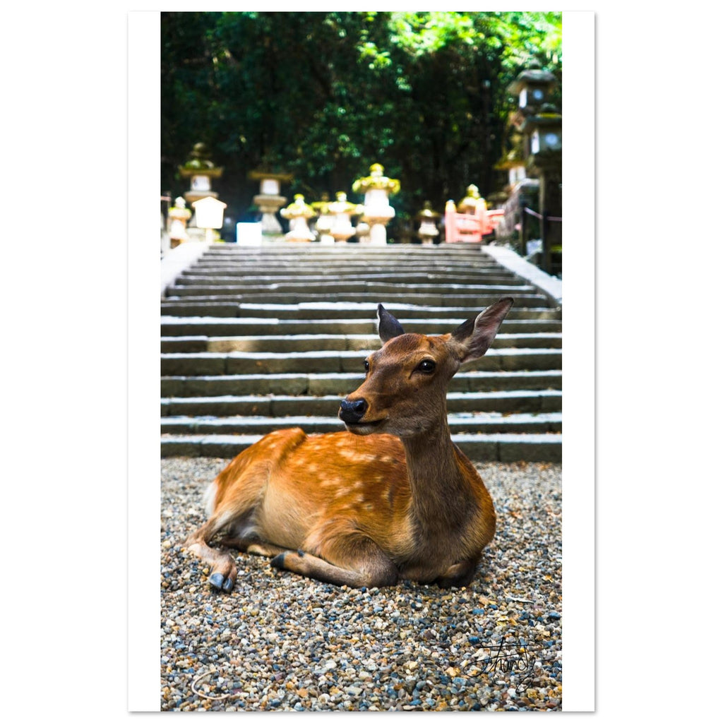 091bde65-2b18-4055-a896-d6949d05ad32