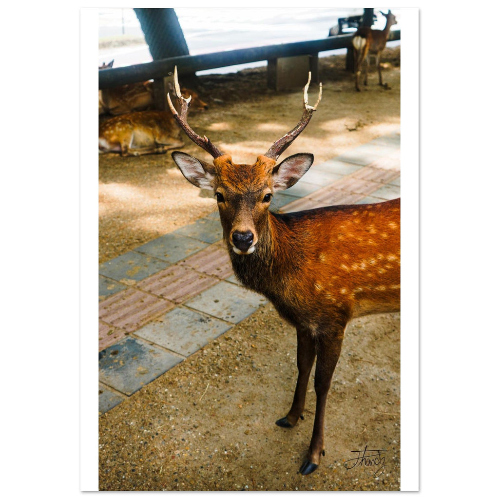 0932529e-3727-46d6-8ad7-de8d47acf1e5