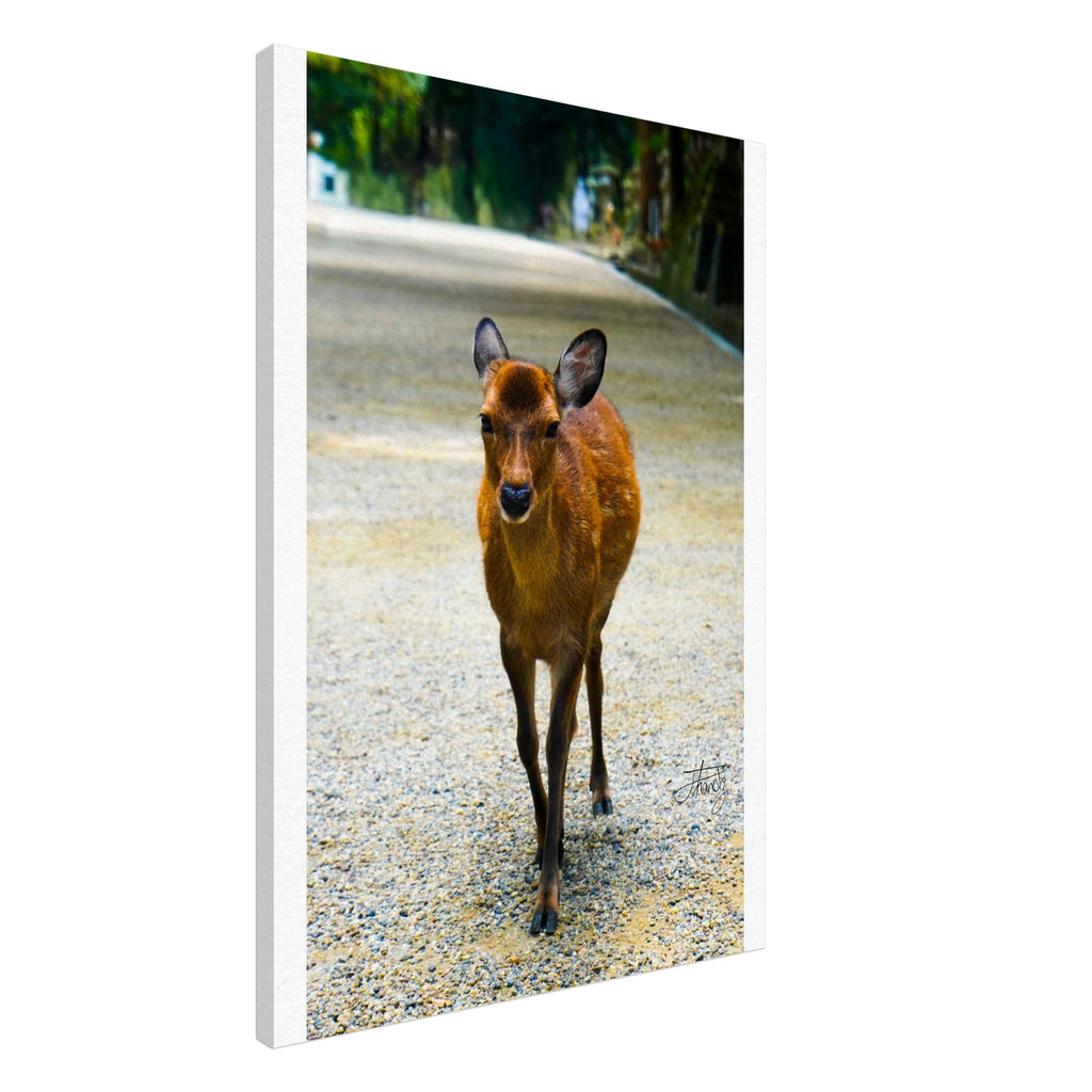 0a39698f-9b82-4f1a-a26d-ab4a51780477