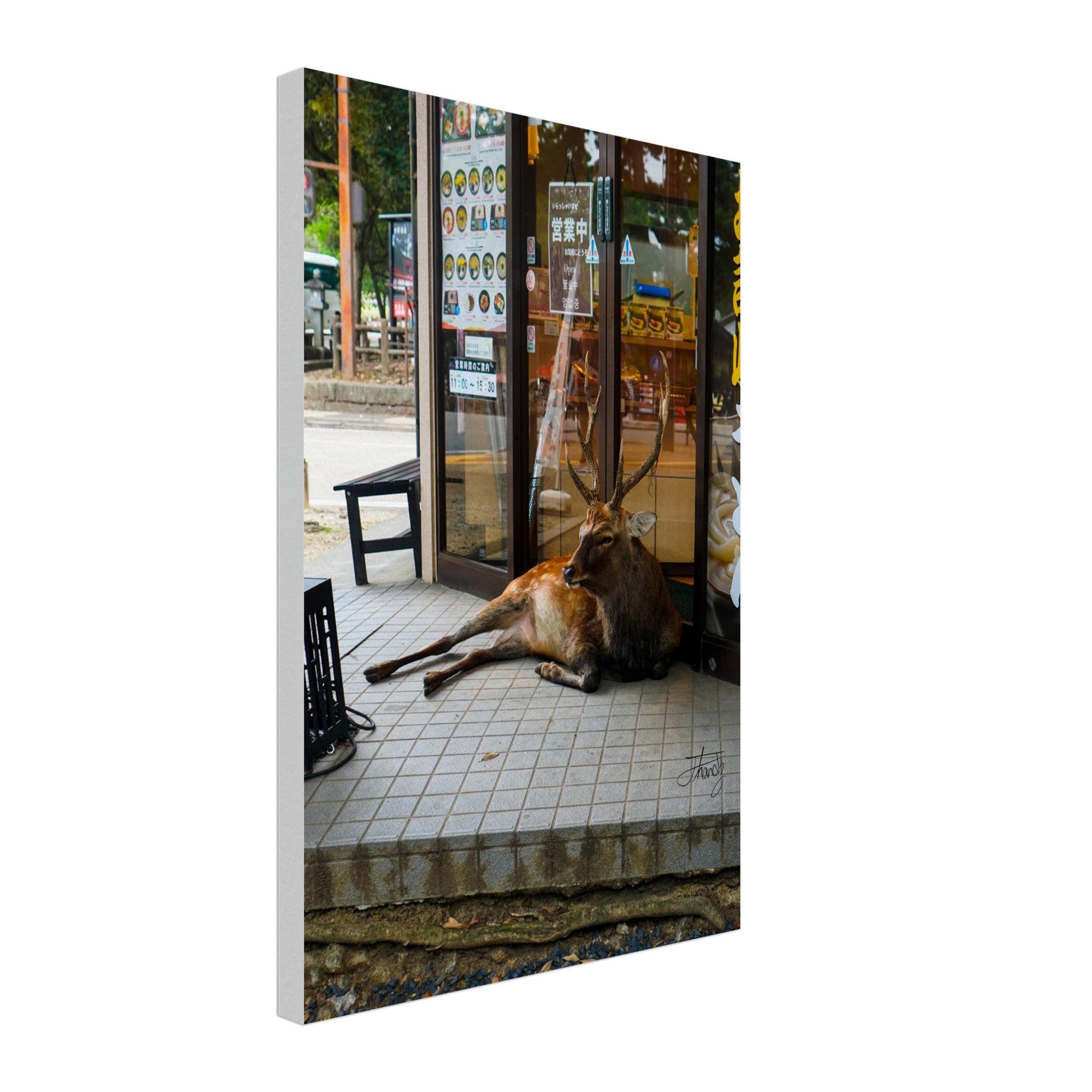 0a45ffa8-2f69-4904-a965-1b32e2019f2f