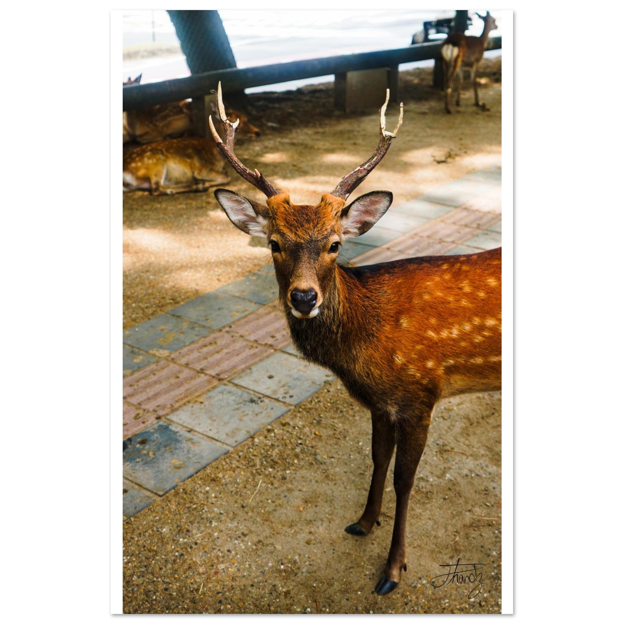 0c273e76-a97d-40cf-82f8-fcee40c1bd01