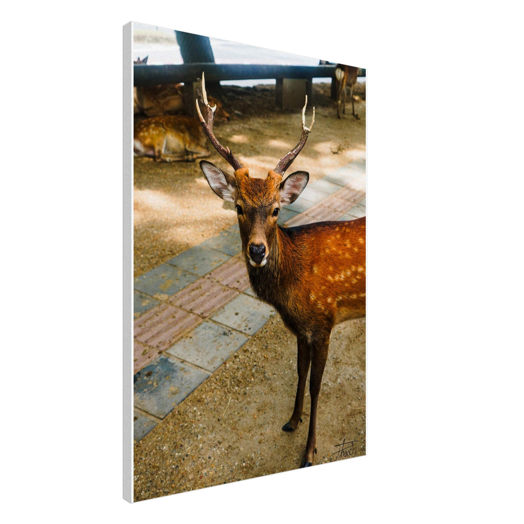 0d640979-2d19-4f02-a280-72fb47ed37ed