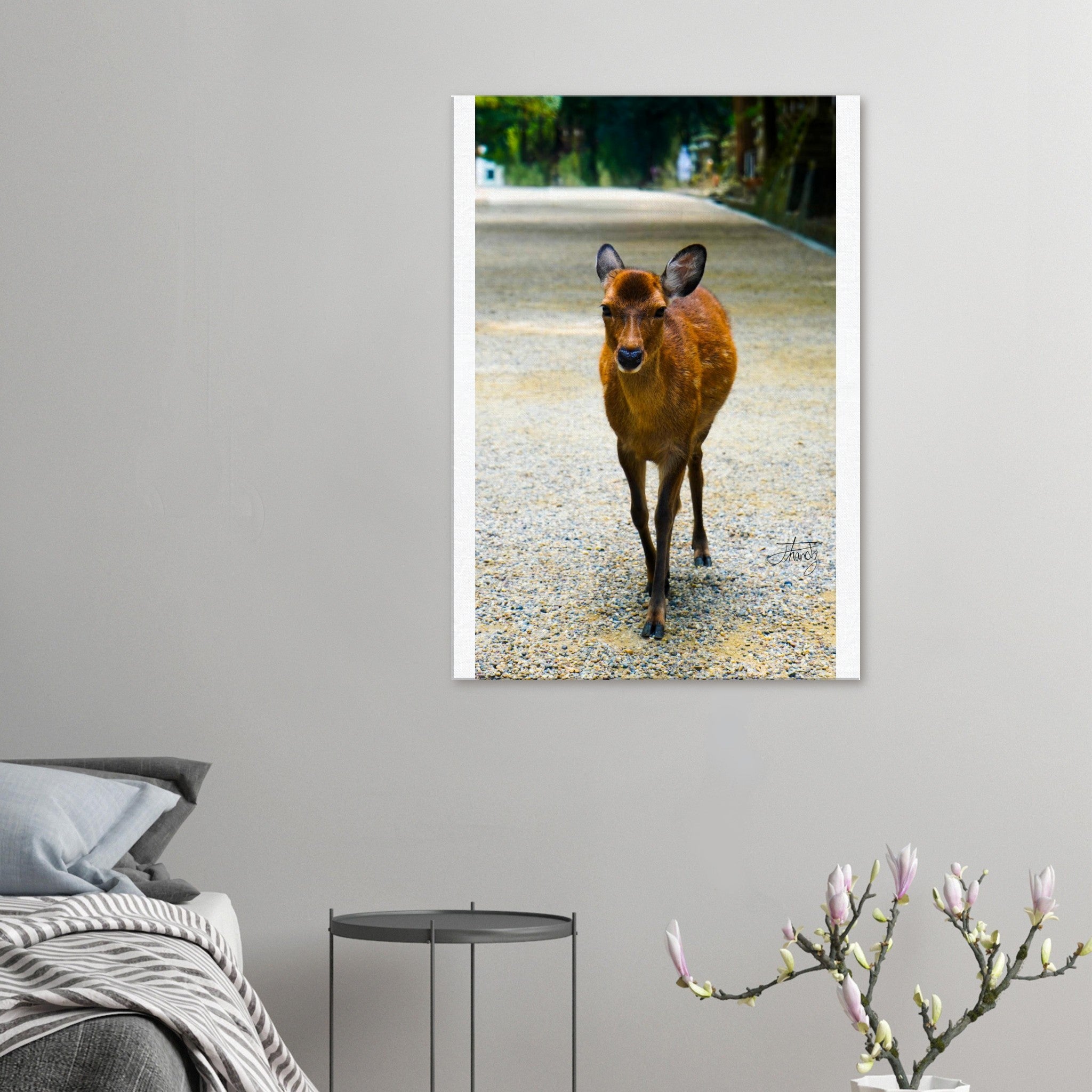 0eded31b-d473-477d-bd1a-5284647a862f