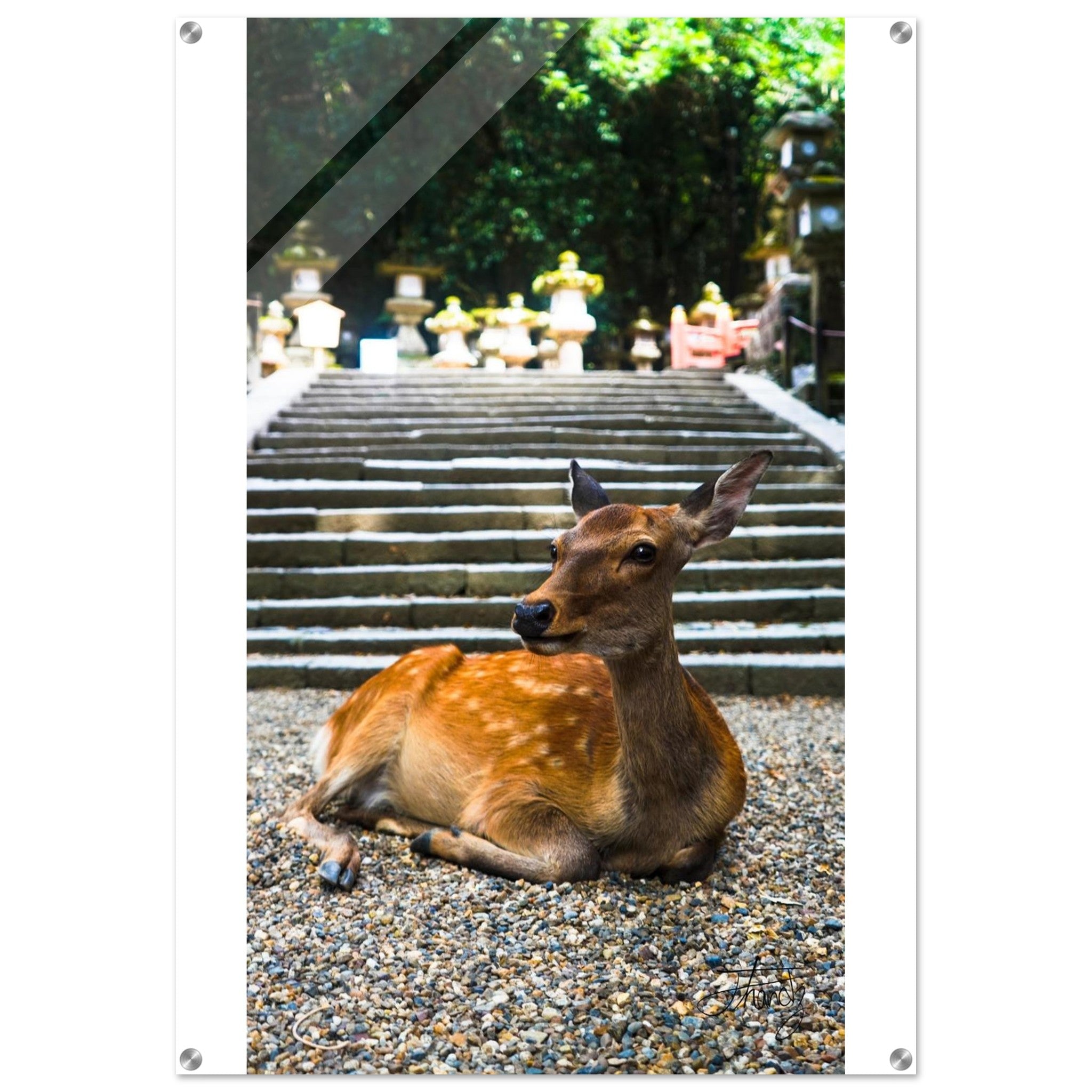 0ef3b0e0-a148-4214-809f-49c8d72ca7d1