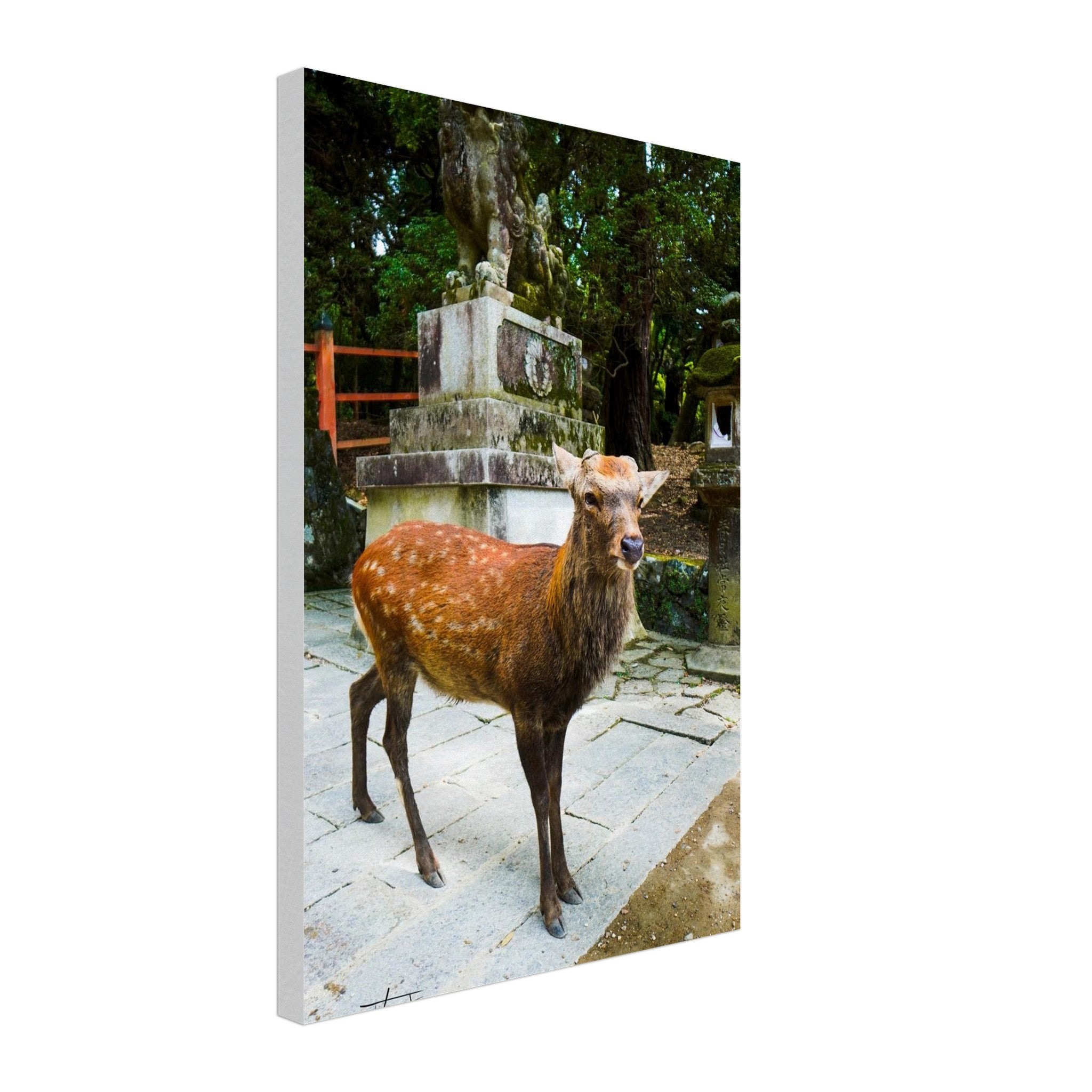 11328cc0-eb48-45dd-afca-17bc857c2344