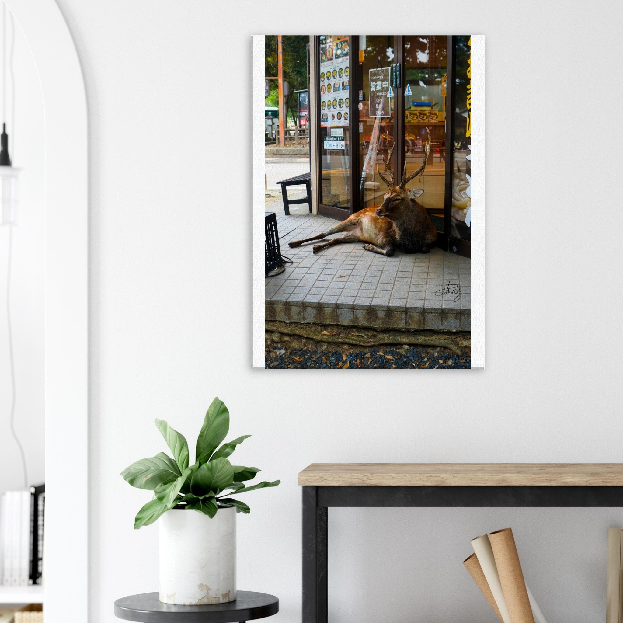 12629cb3-6ec0-4df5-a3d9-d45491a1abcf