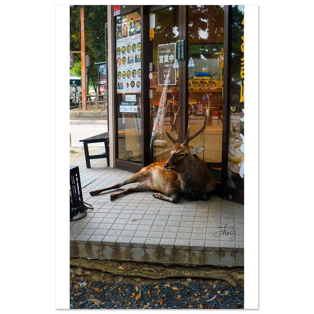 16cec2c6-517b-4257-8975-f1d4d6ae1b37