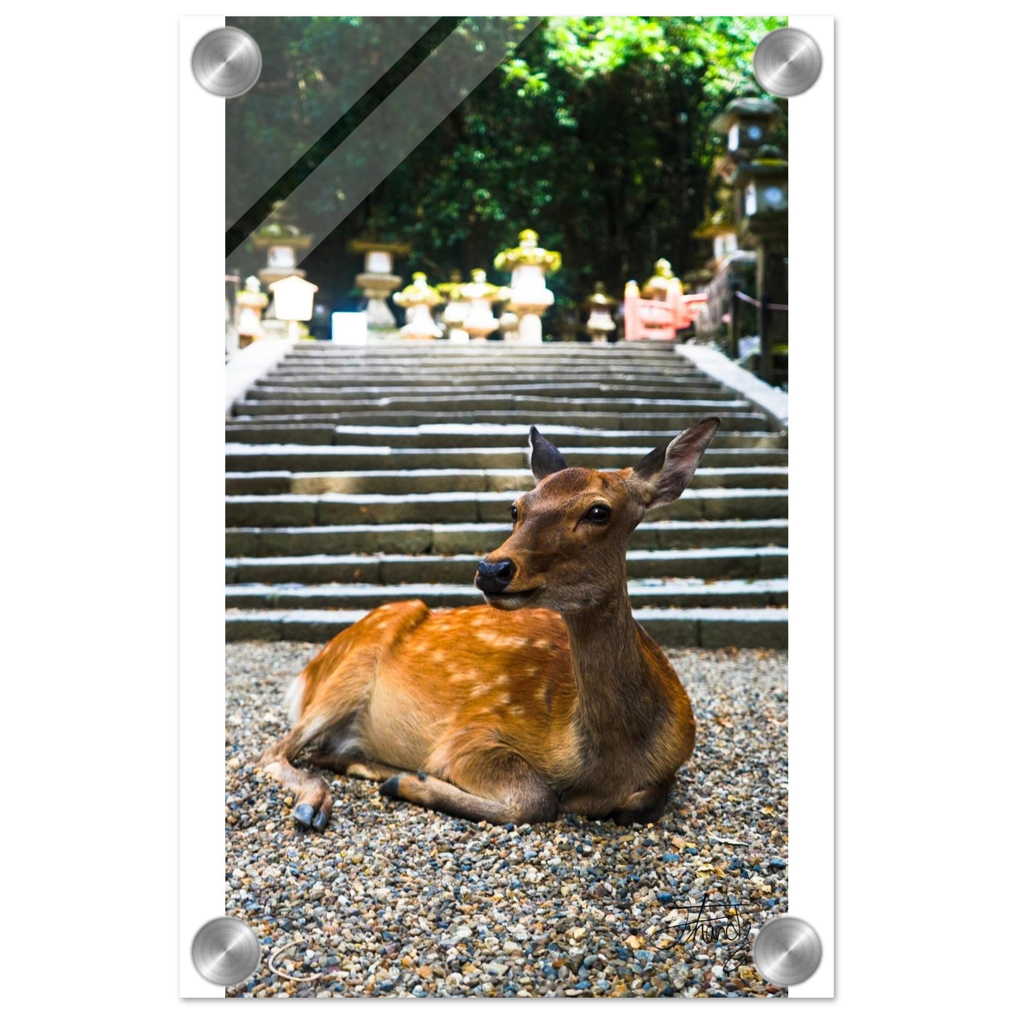 17a9ed23-fff6-4a2a-976b-e6f2b4986c2c