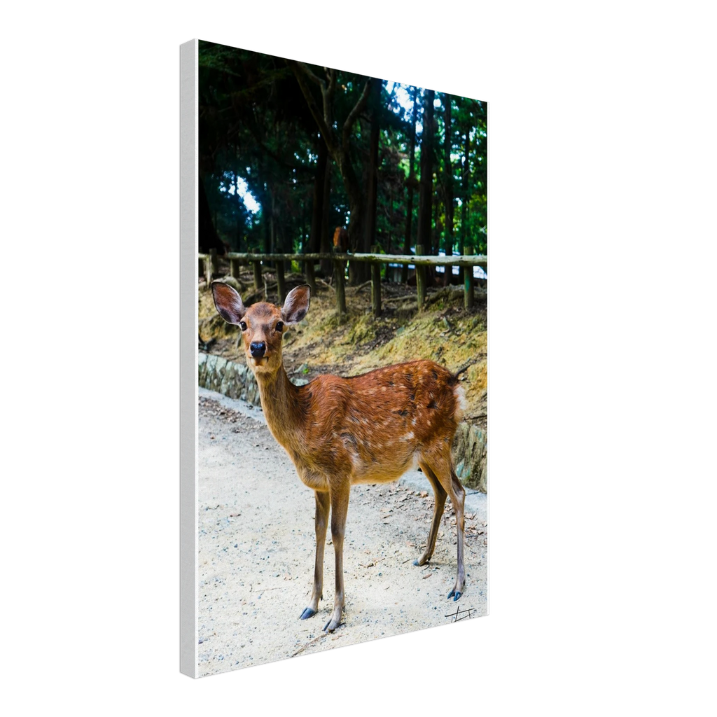 1a322be3-e3e7-4d00-96e0-2626eb385878