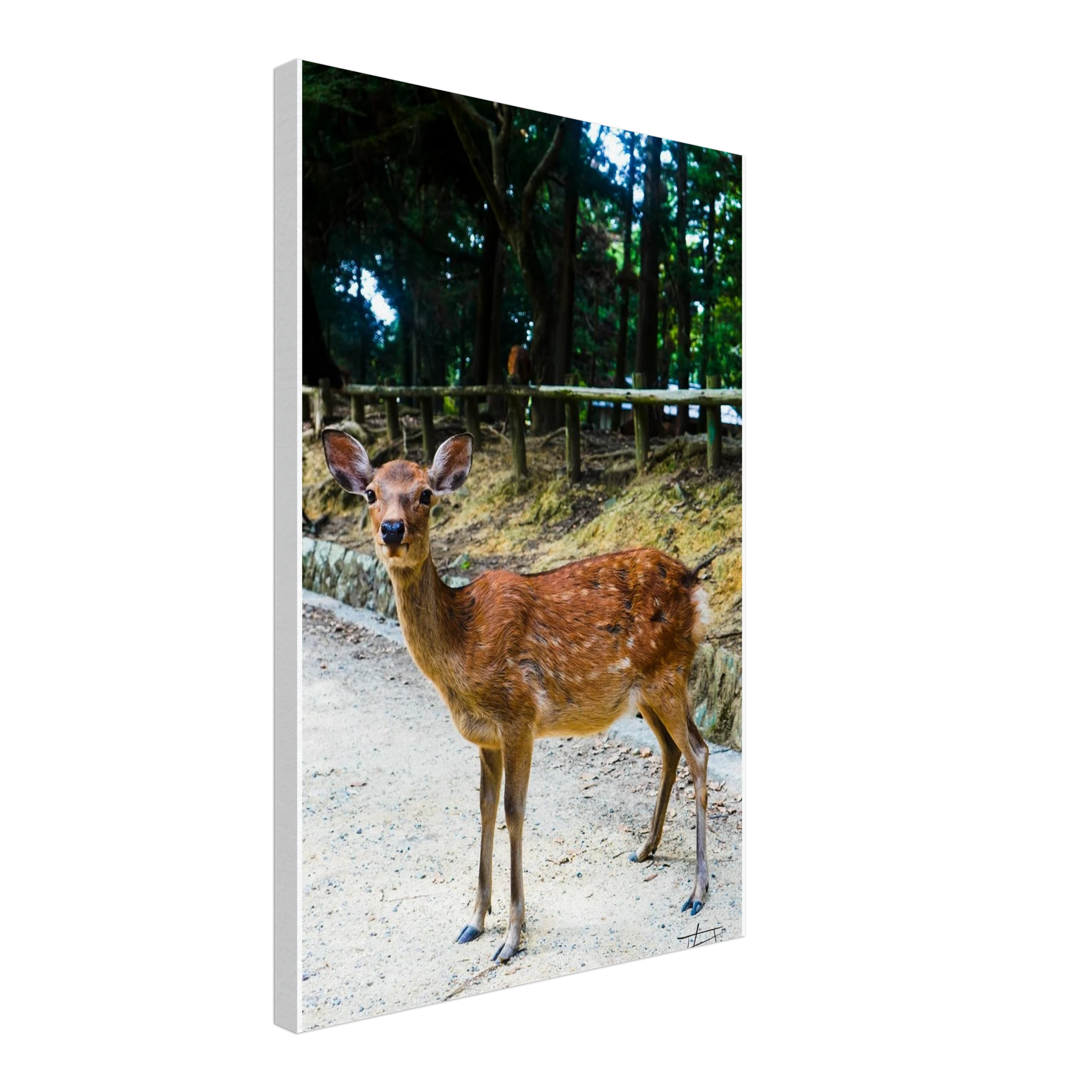 1a322be3-e3e7-4d00-96e0-2626eb385878