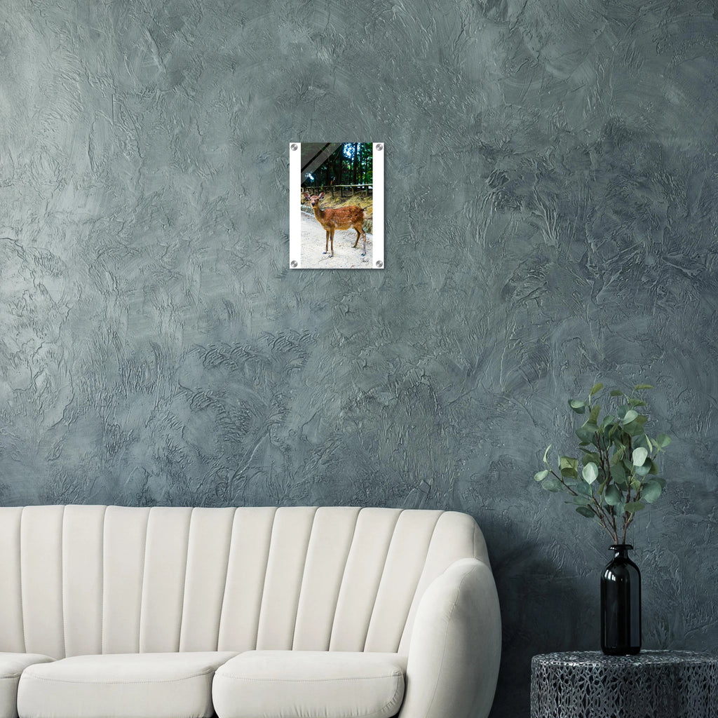 1c5a02de-1a79-43e5-8060-6a30ff5d9edb