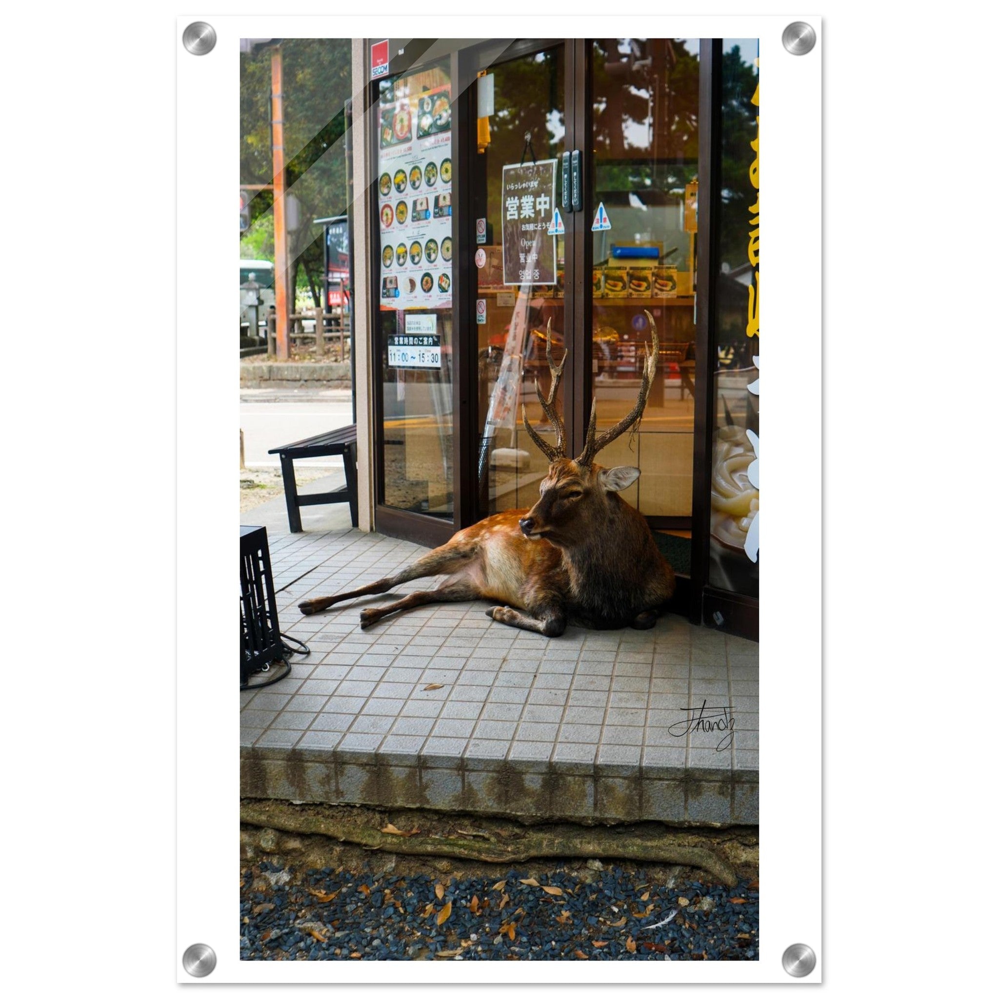 23b33e7f-4932-492b-b7c5-b49b3477a01e