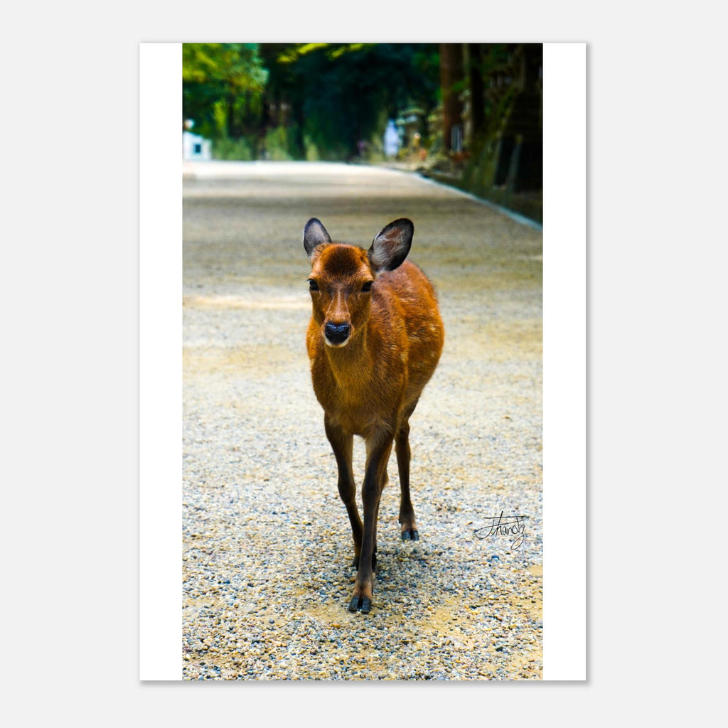 25594529-81c3-4cde-b5ab-d3e6e89aa225