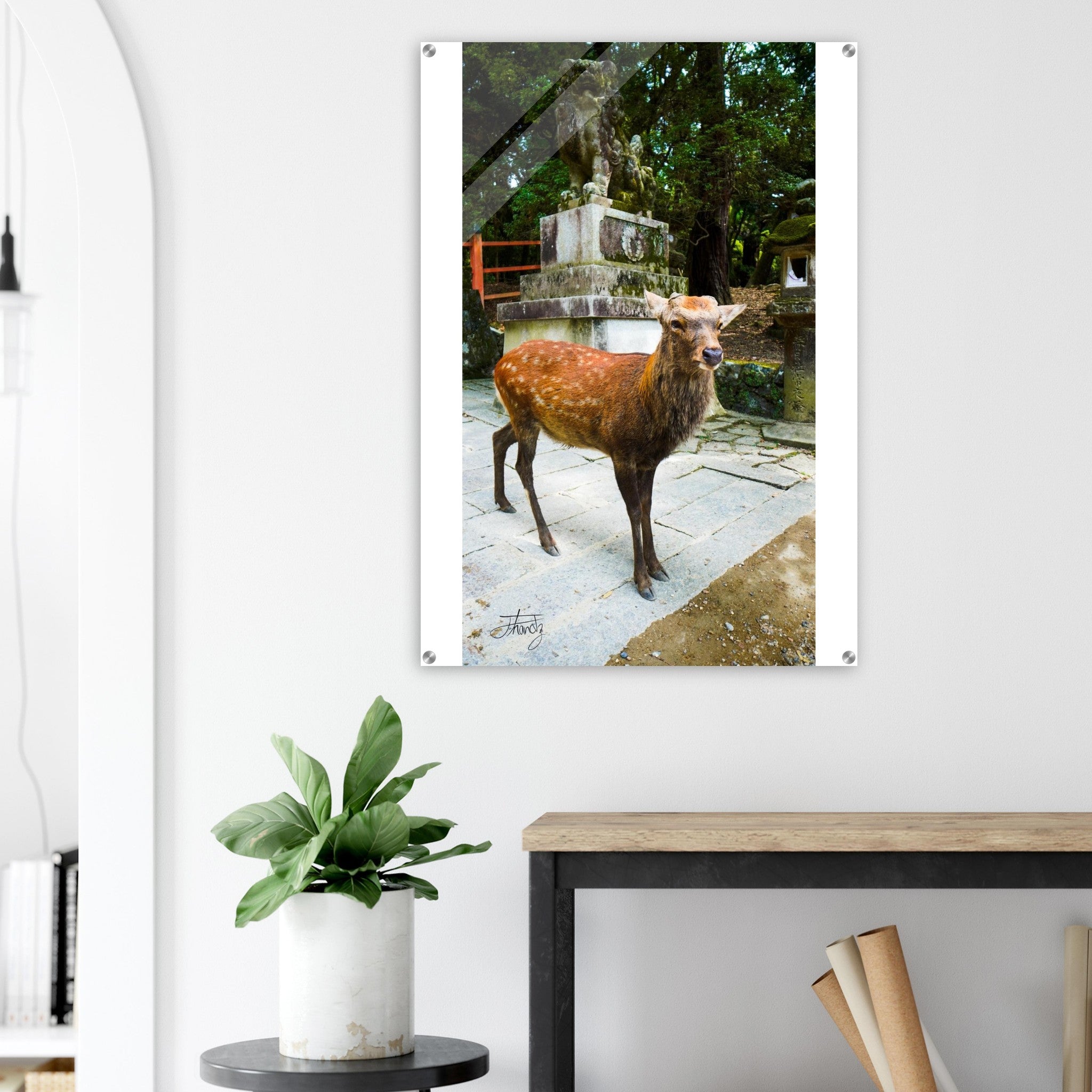 26af2890-e163-41af-ad93-2625cf0866a7