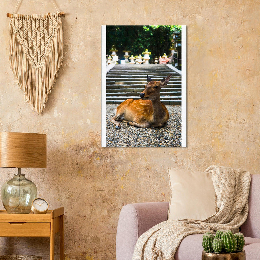 26d830e7-475c-46bc-9e50-878a9ff398f4