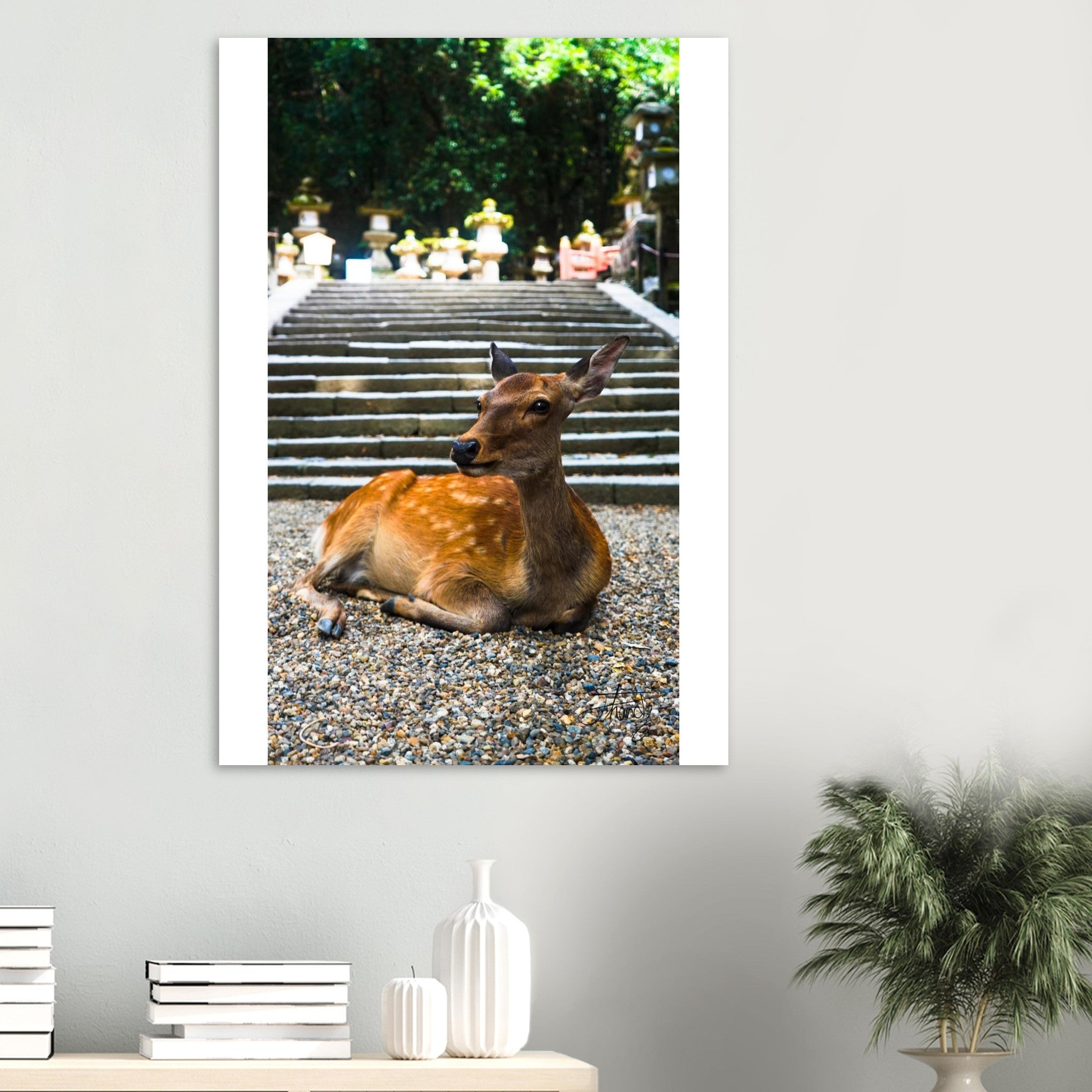 27fbe8fc-8f90-4cd5-ab70-7f51e75ee334