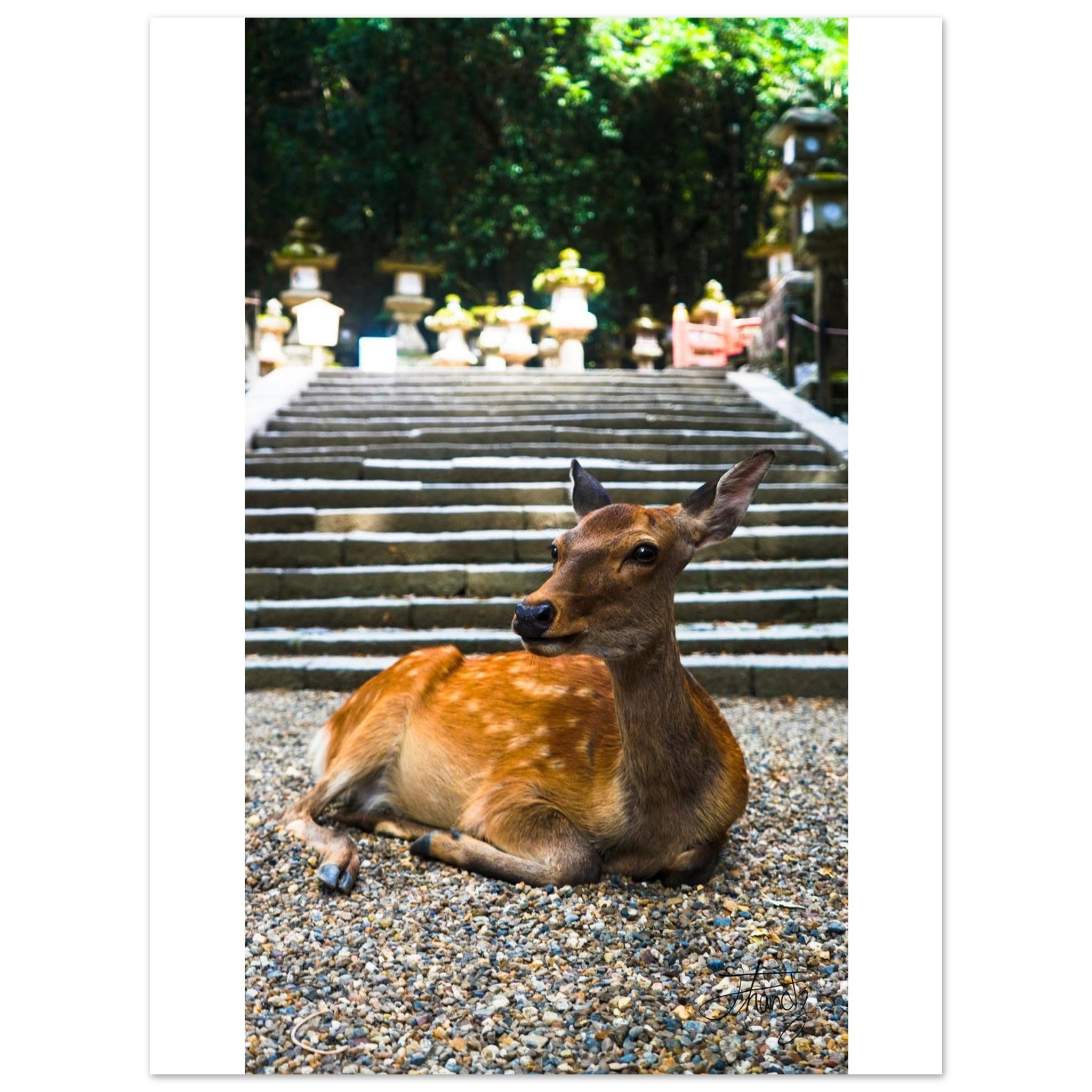 2adb5672-2bff-42f3-9f92-08ccda23983c