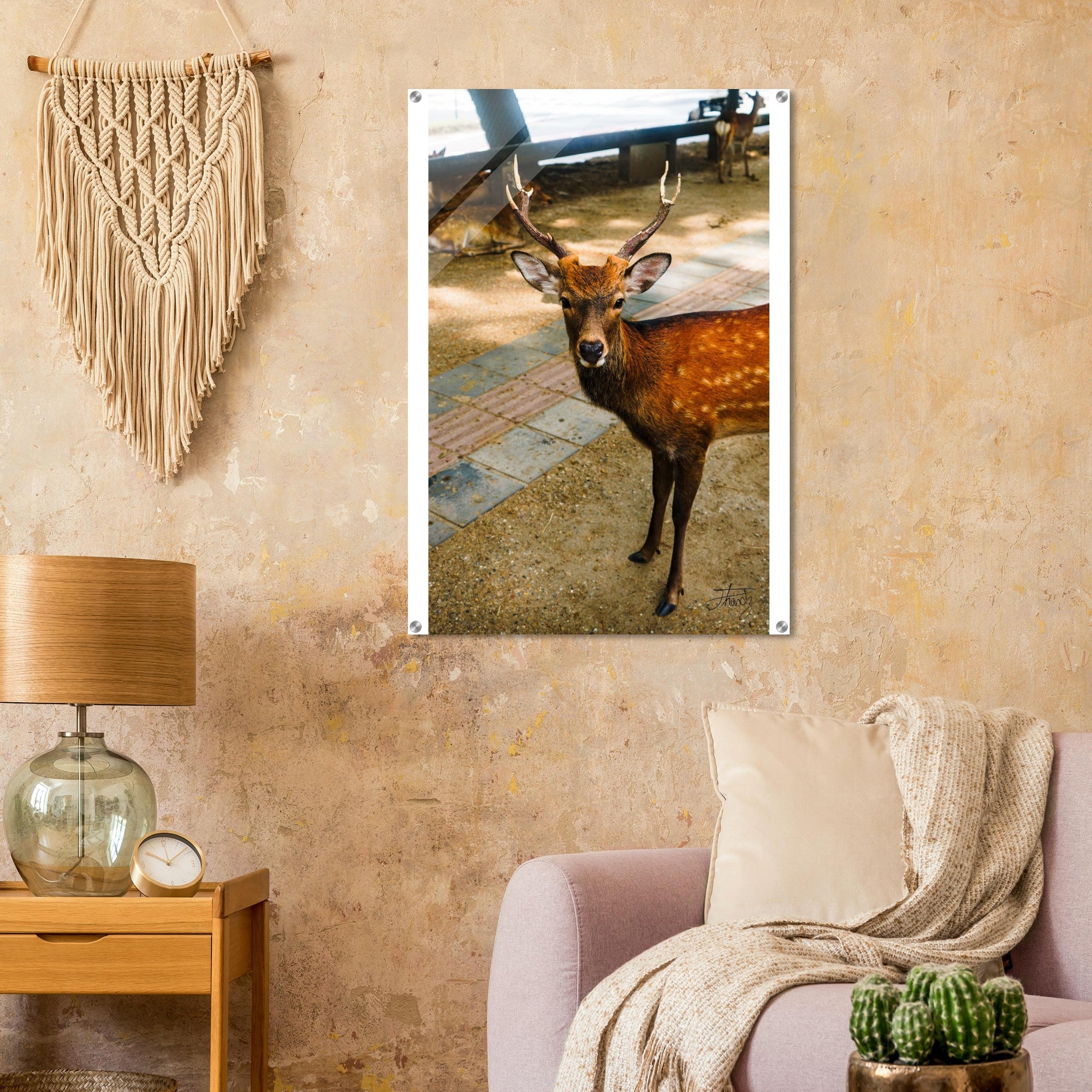 2adbb33e-26e1-4bd1-9c5e-88ab4b5b8b6c