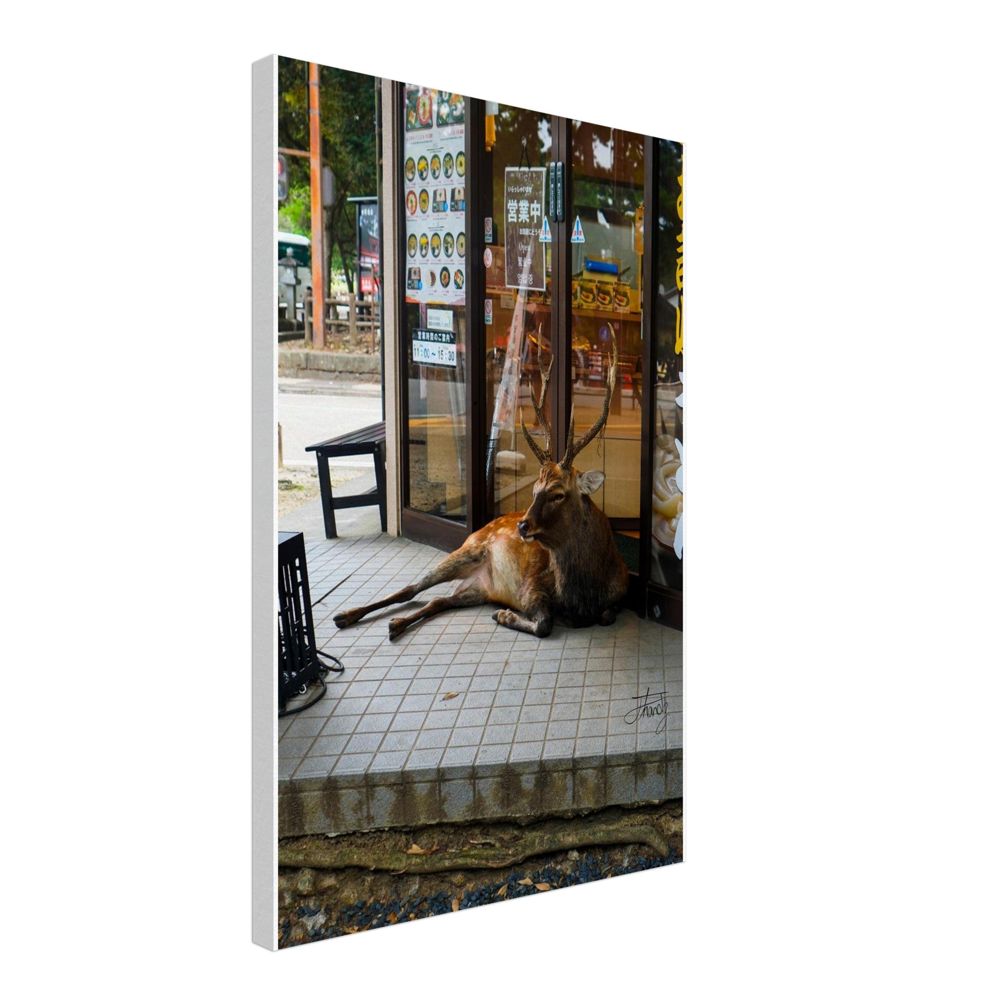 2b744376-1d06-40c7-8639-980a24ef0c9c