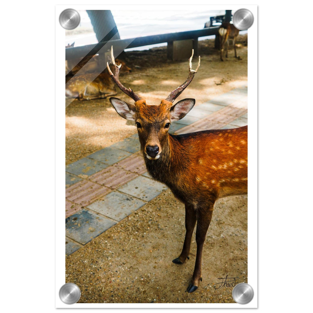 2b876ec0-3a50-411e-a99b-345f005b9072