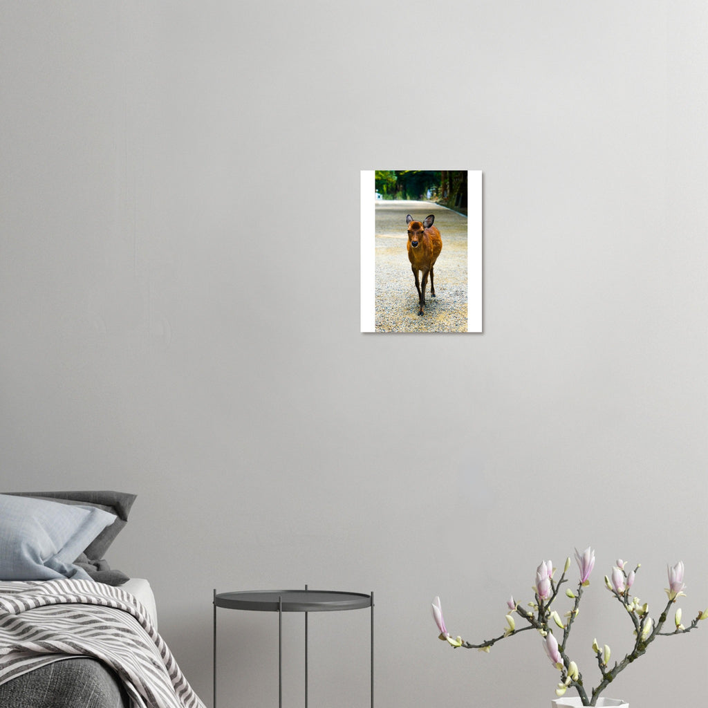 2d8dec17-9547-41f9-8dde-20158ca03381