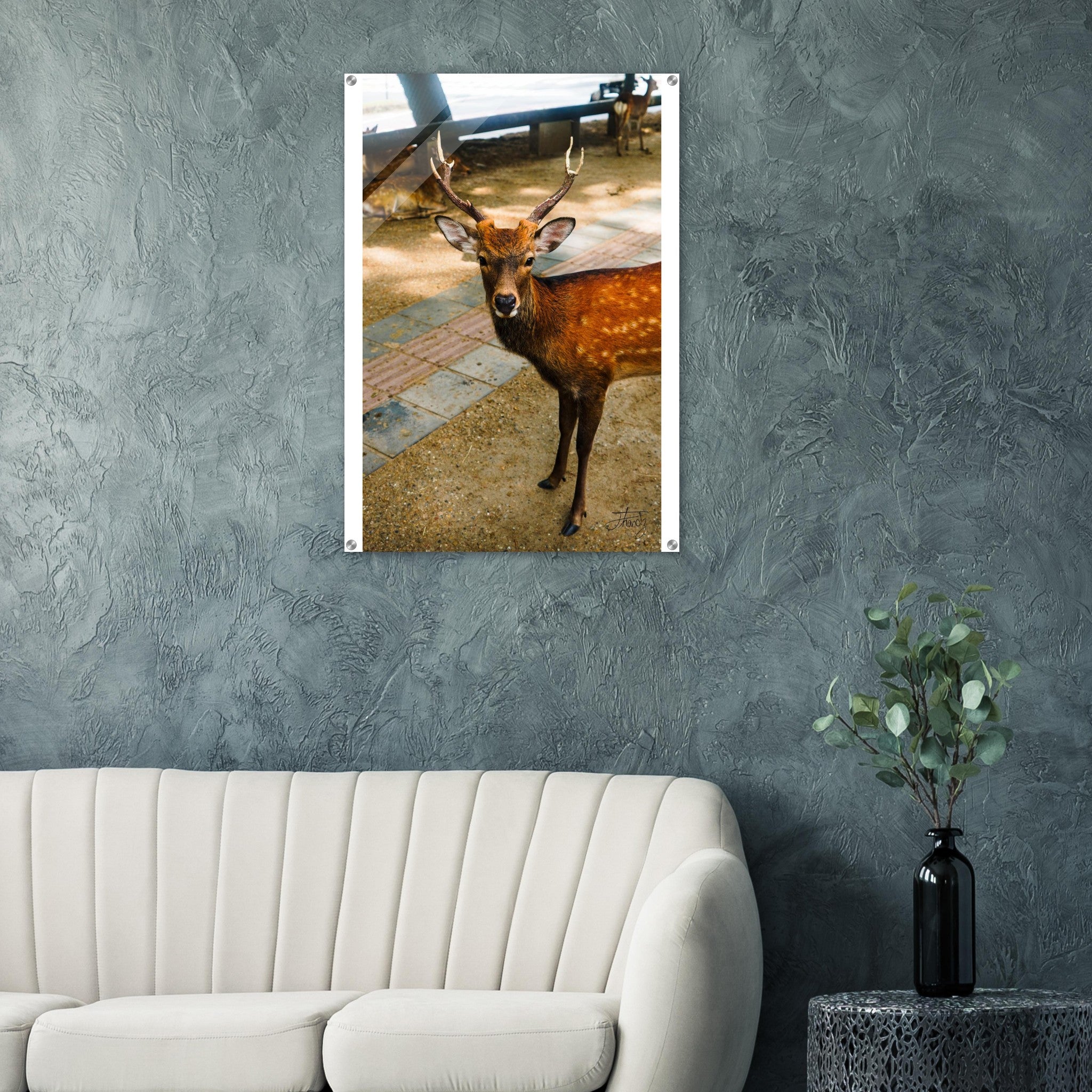 2f10fcce-f669-4265-bd00-6ab40262987f