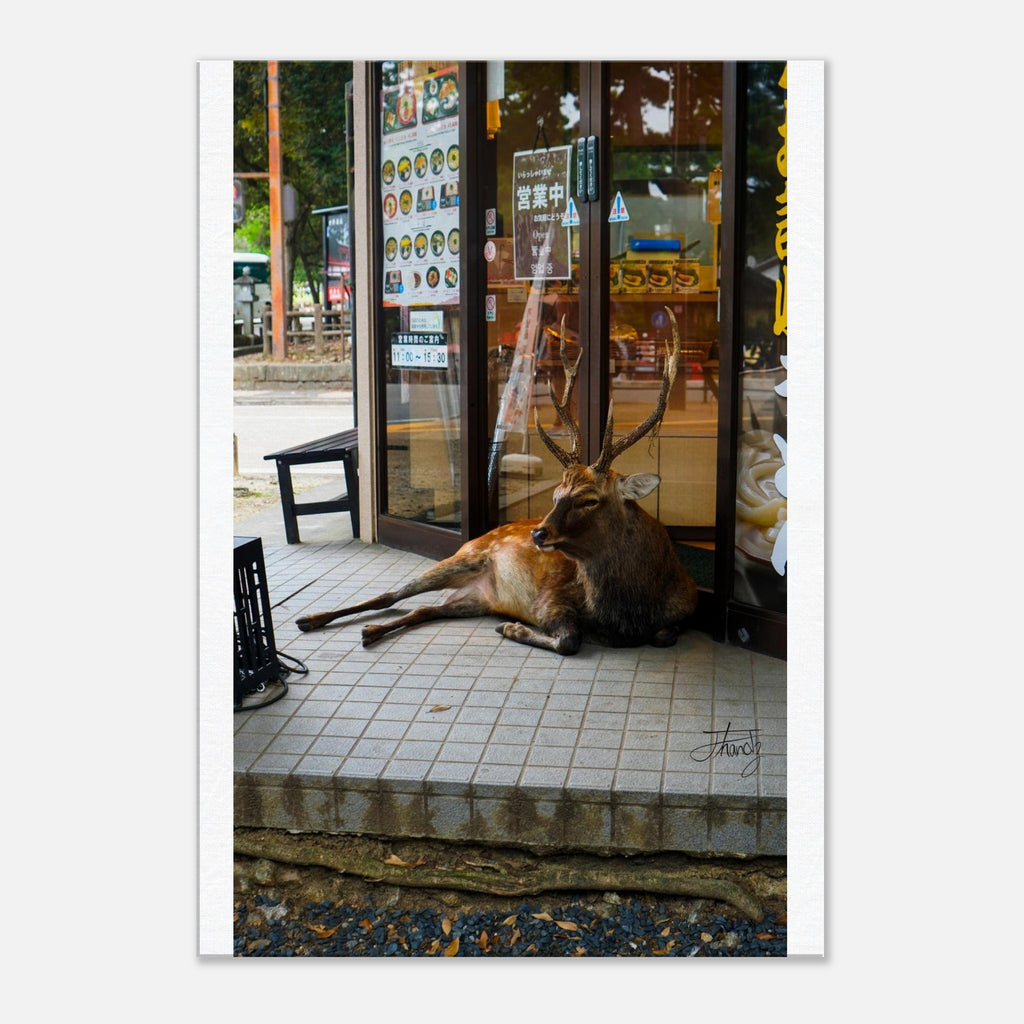 30352e79-efcc-4a53-b2ab-f7516a89bd2a