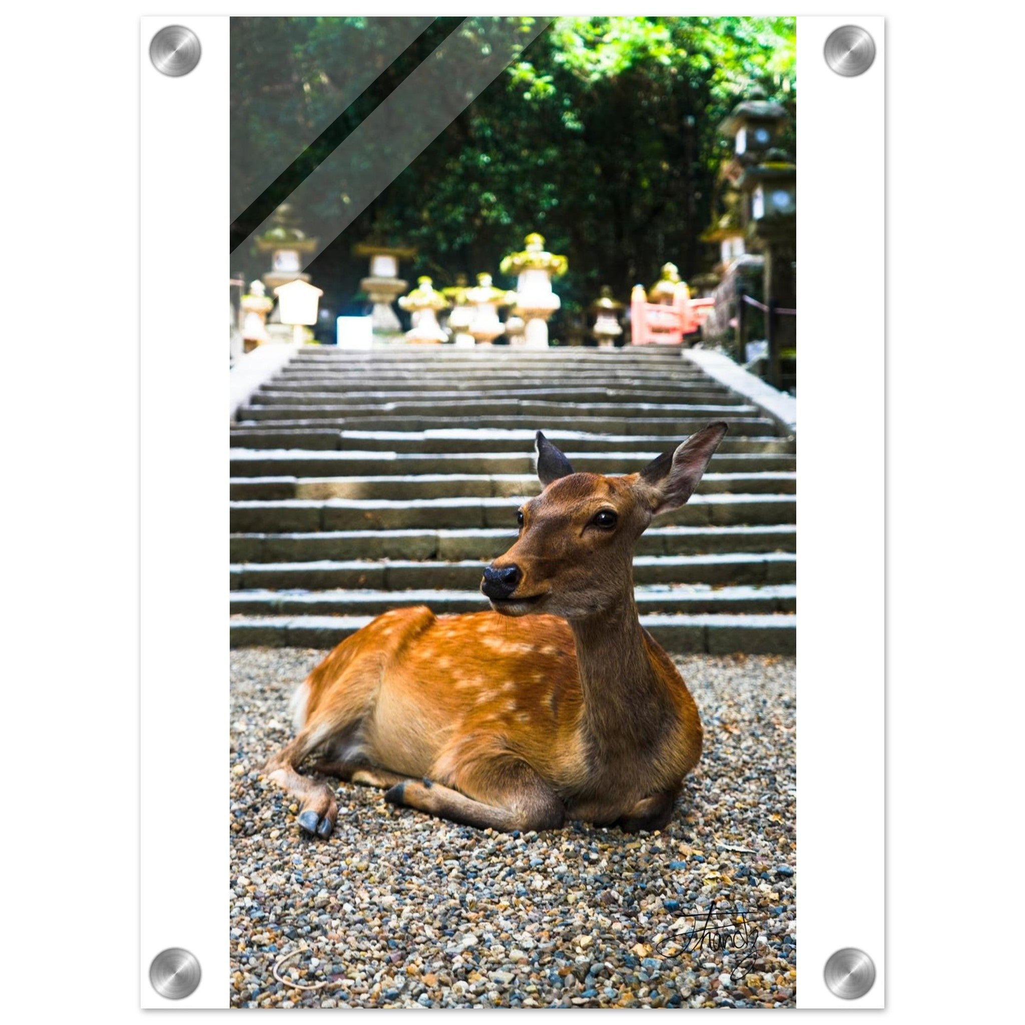 3056eb46-f2f2-4783-9bed-c3305ae10d53