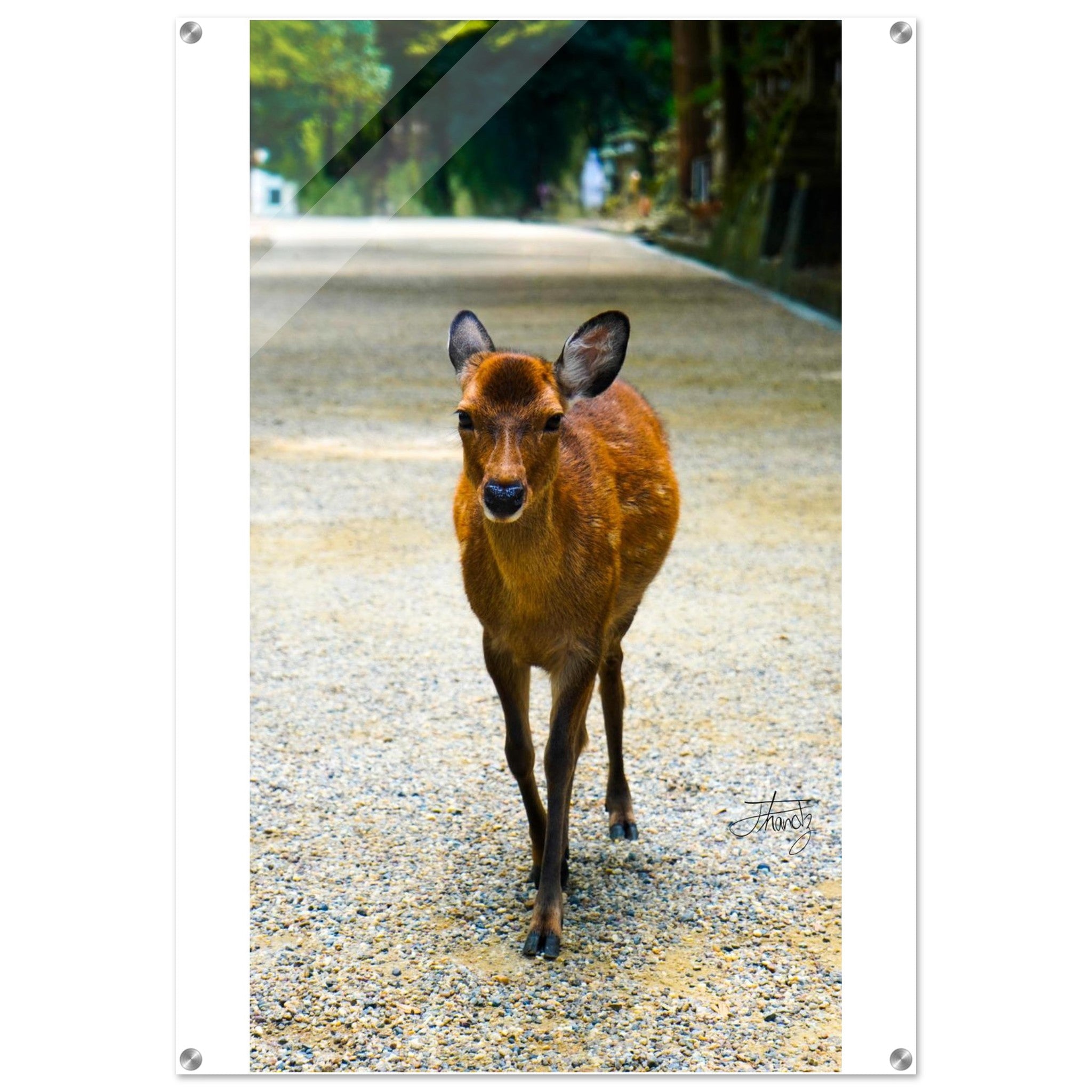 312b32a0-7f4c-4f9b-a45b-45a4541c6be4