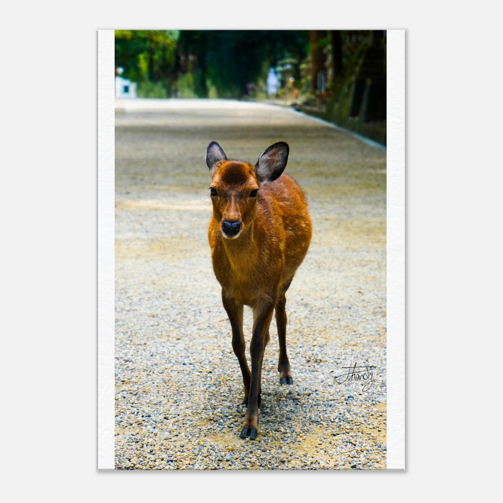 33bc664d-4569-4844-a201-42ce2a25b045