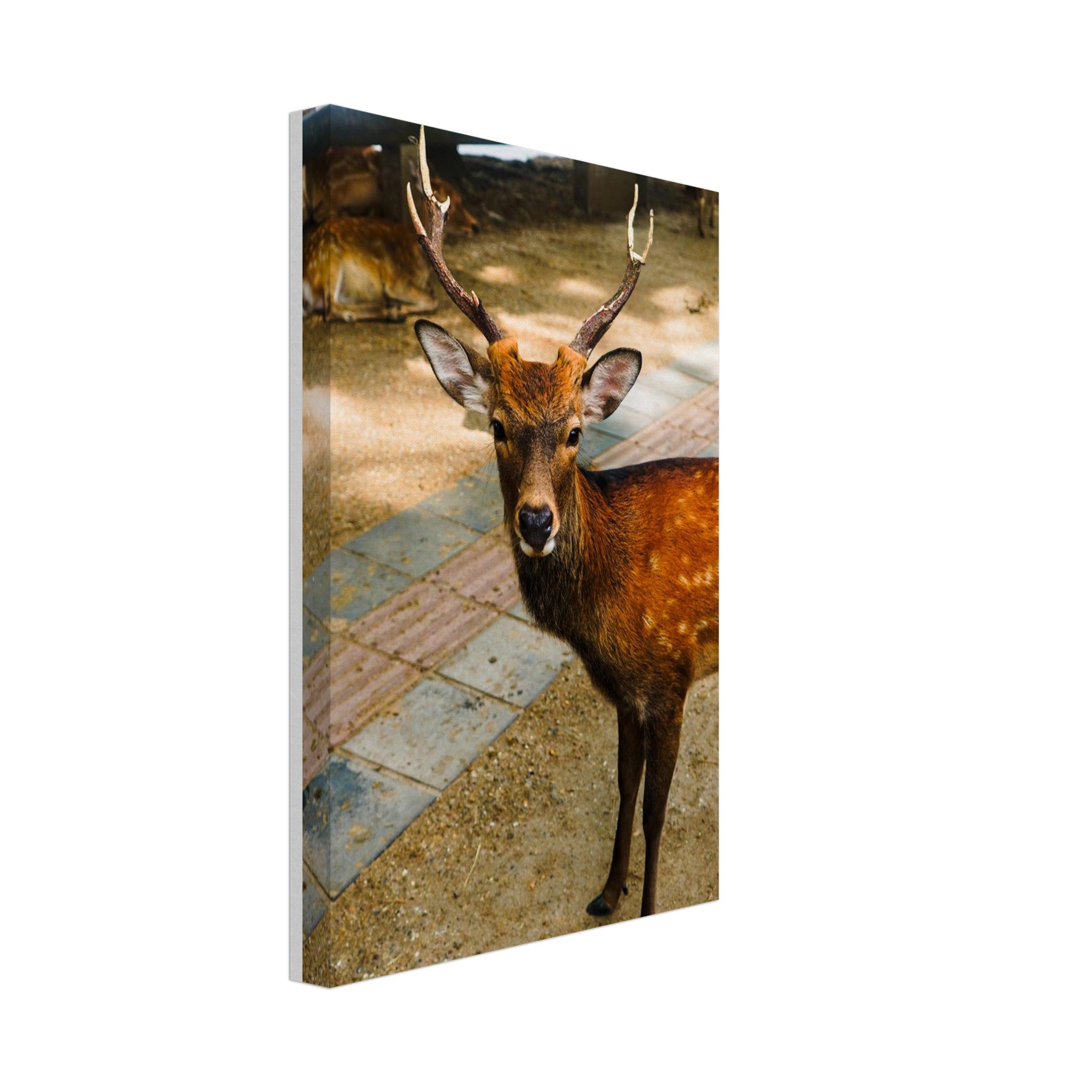 34f95ce0-dab4-4bbe-a376-0a09c622a924