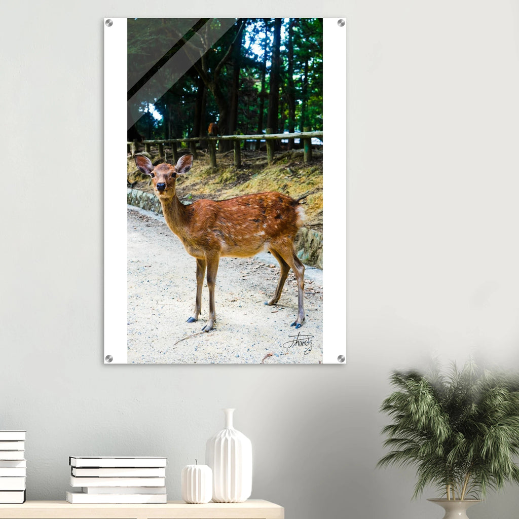 3937be07-23ed-4711-9de8-69ebe9c88c9d