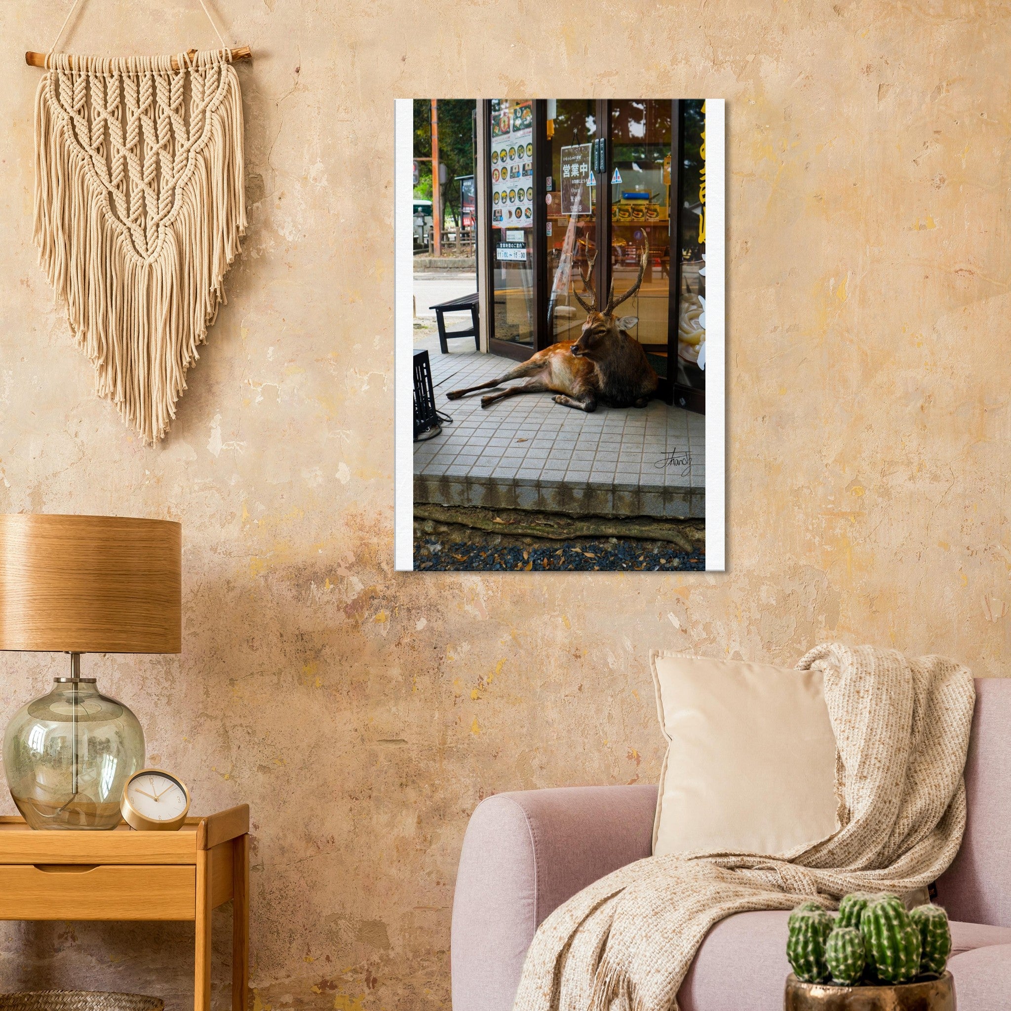 3a1d48df-3a8b-4bb7-bf93-a0e96d9a206f