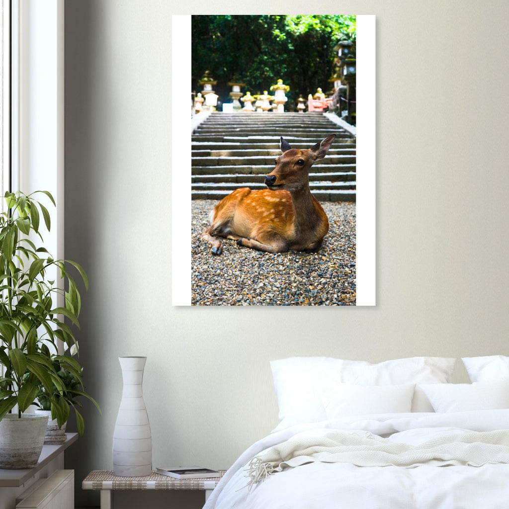 3ad454fb-ed73-49b3-a5f6-097677cf5242