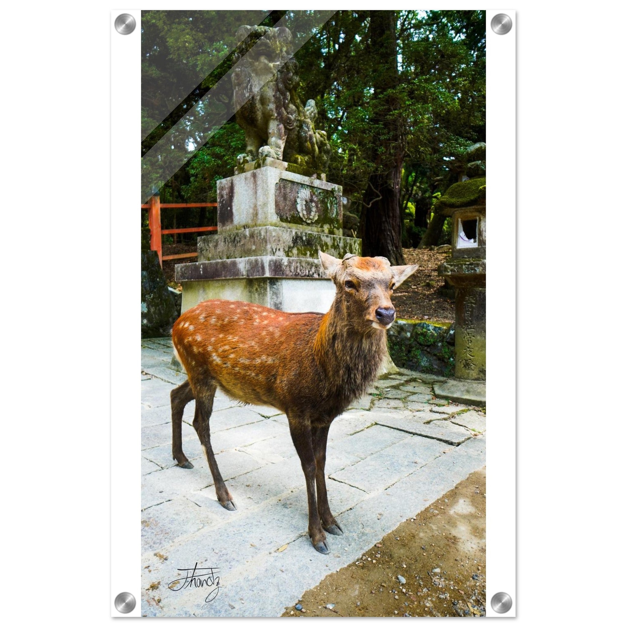 3c14132d-4c45-4ca4-8603-e02ed4eba927