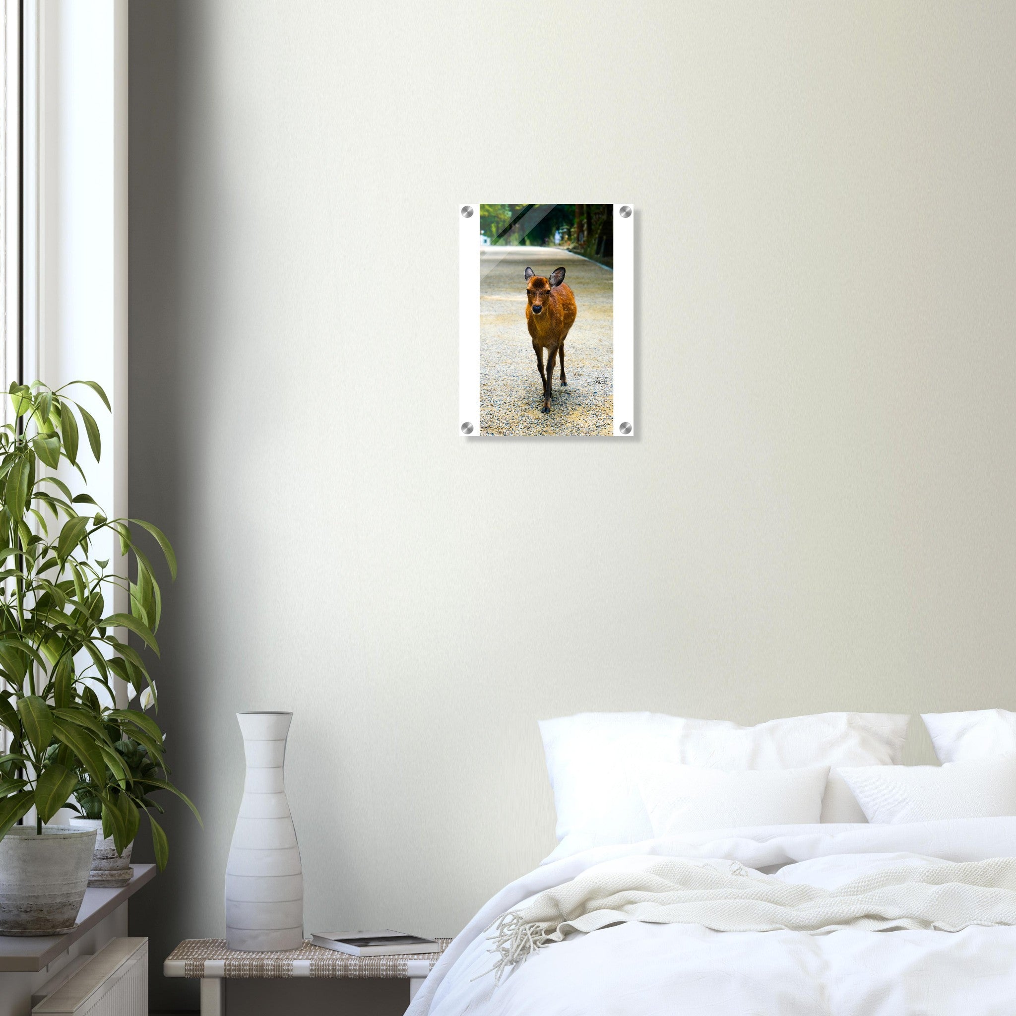 4286fb61-3768-46ed-956d-cfad586747ae