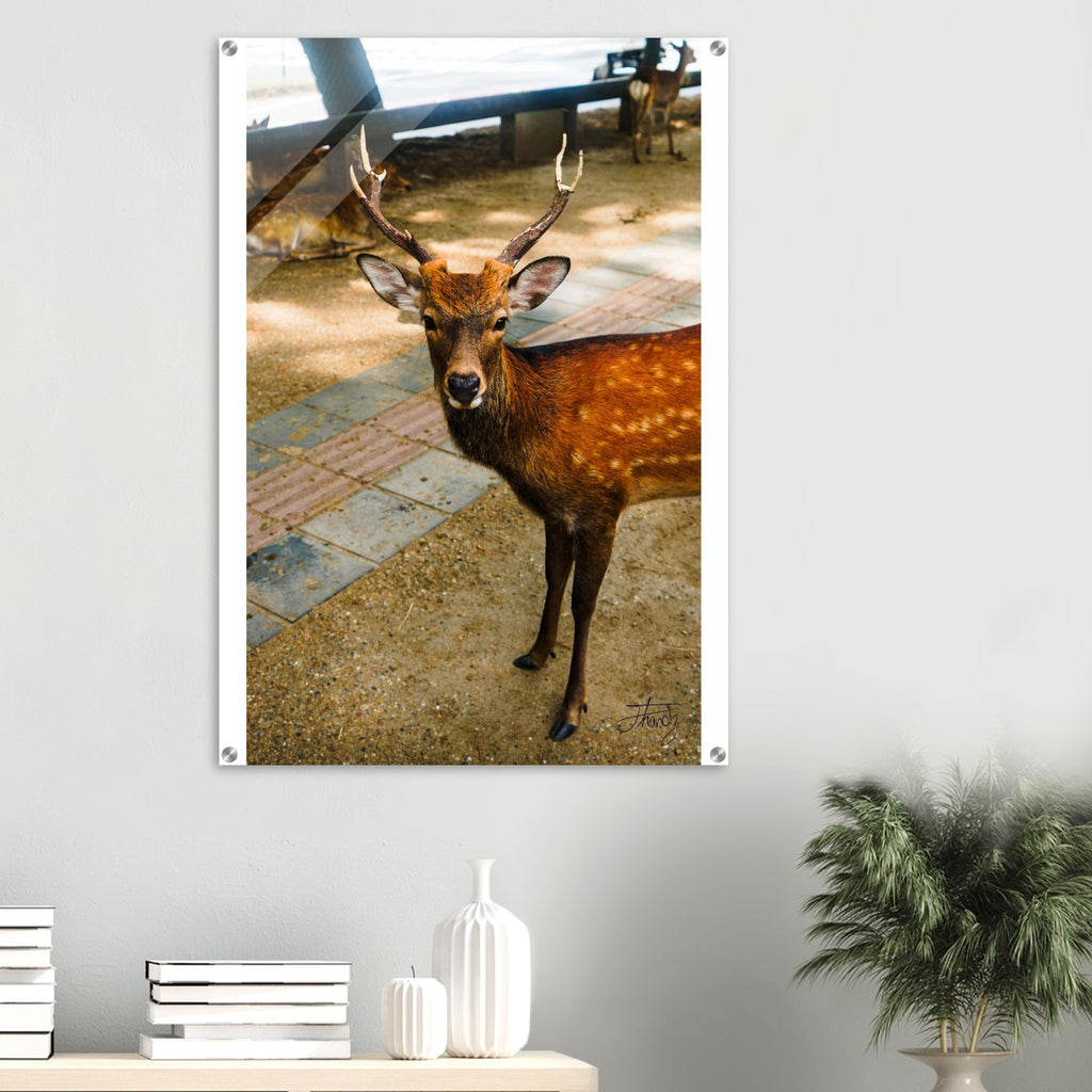 45074087-6c26-41d2-86db-f1ab64dca7a1