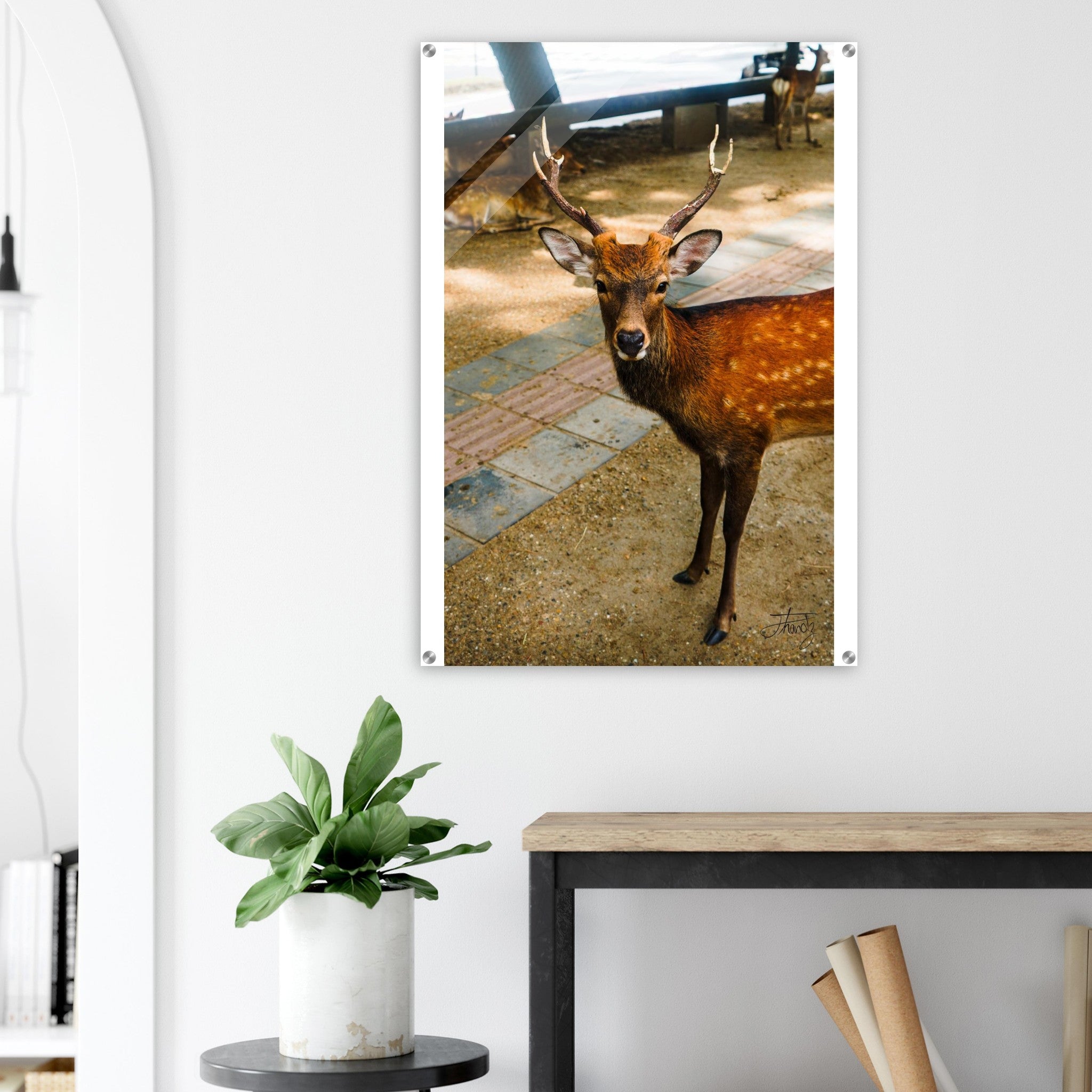 454c3c9c-b2b9-40b3-b879-de0ae0ce933b