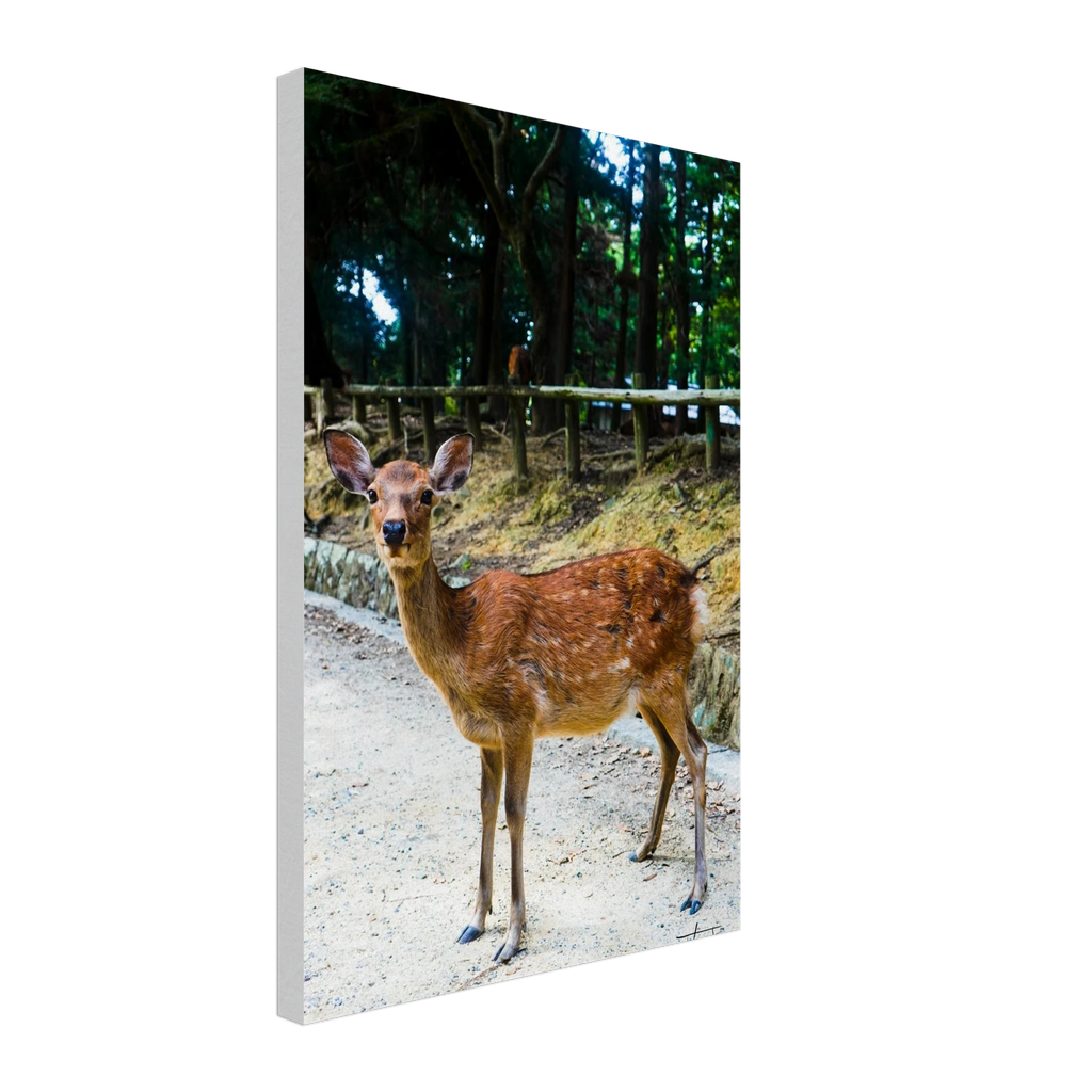 45c0783d-bba9-4894-9c4b-167bcc2bed3a