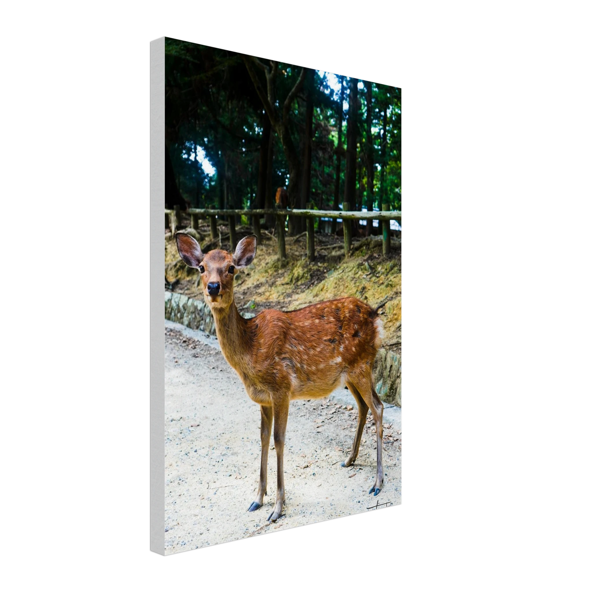 45c0783d-bba9-4894-9c4b-167bcc2bed3a