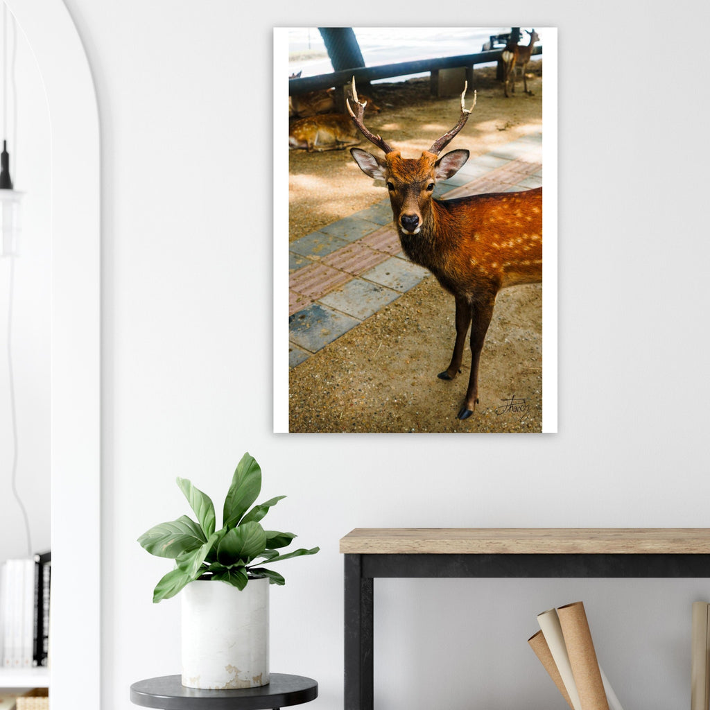 477c7ce2-8795-442d-81a9-23f2c29bb551