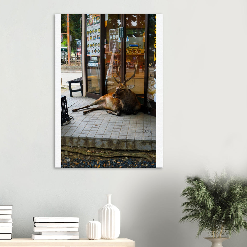 514210e7-f24f-4e96-956b-bc5b2749fc30