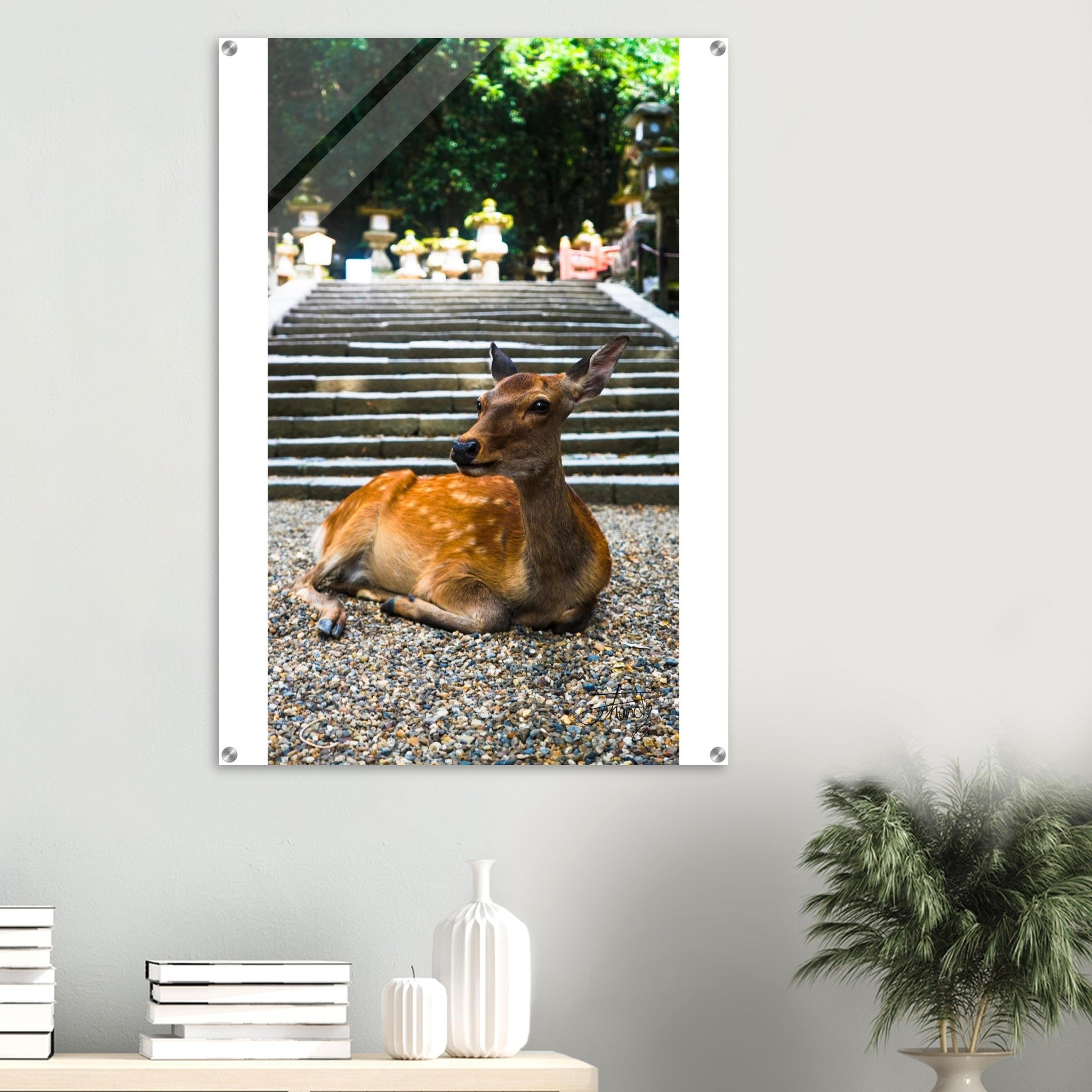 519bfe97-64ac-4e3a-9bd2-e79c6025202d