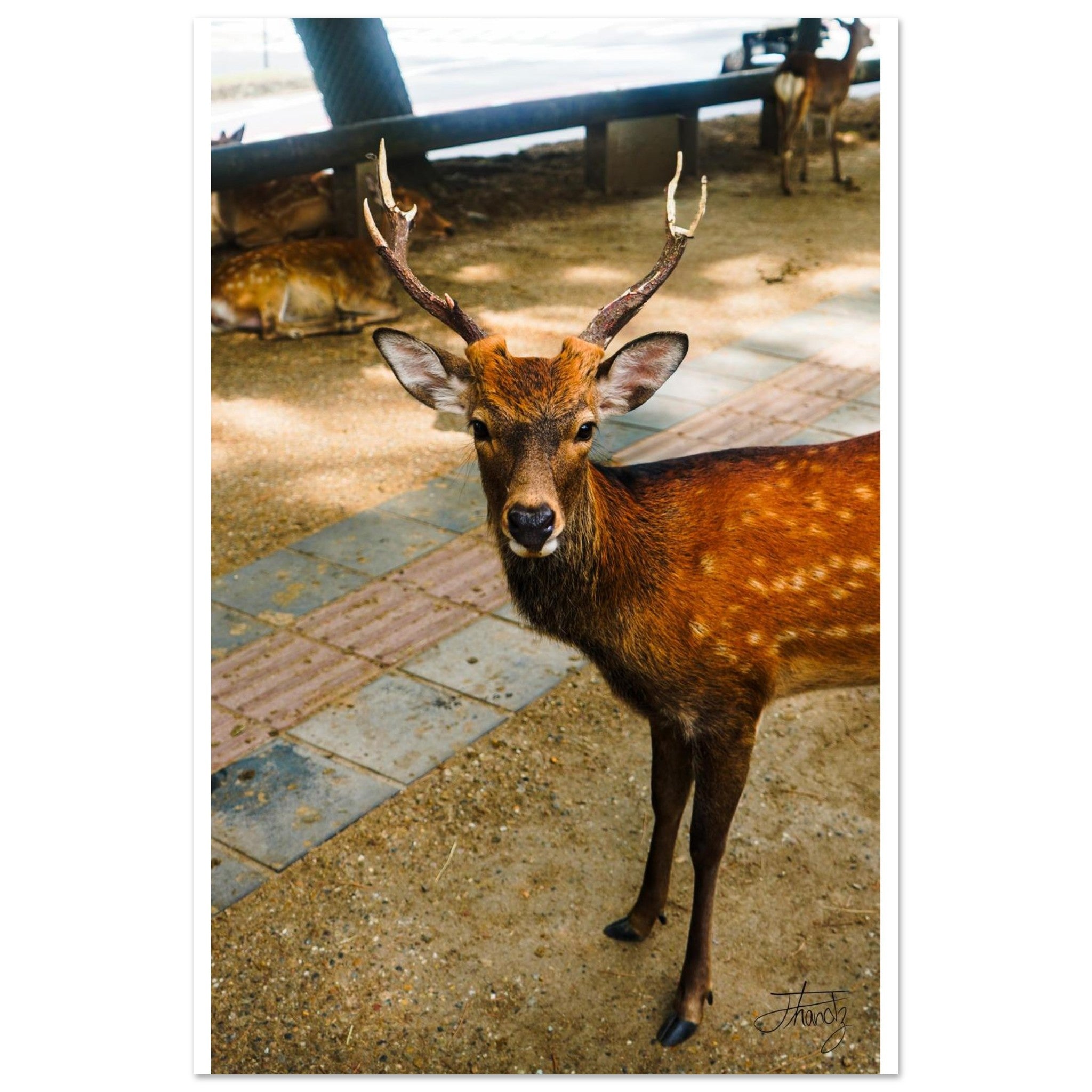 55dd97c5-2e5d-4acd-ab8c-485faf97197f